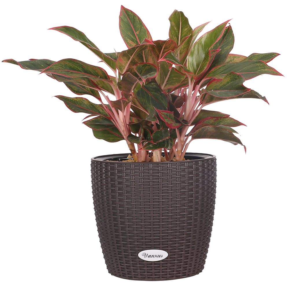 Planter pot Large Flower Planters pot - Self -Watering Planter Modern Decorative Flower Planter Resin Garden Planter Pot(Brown)