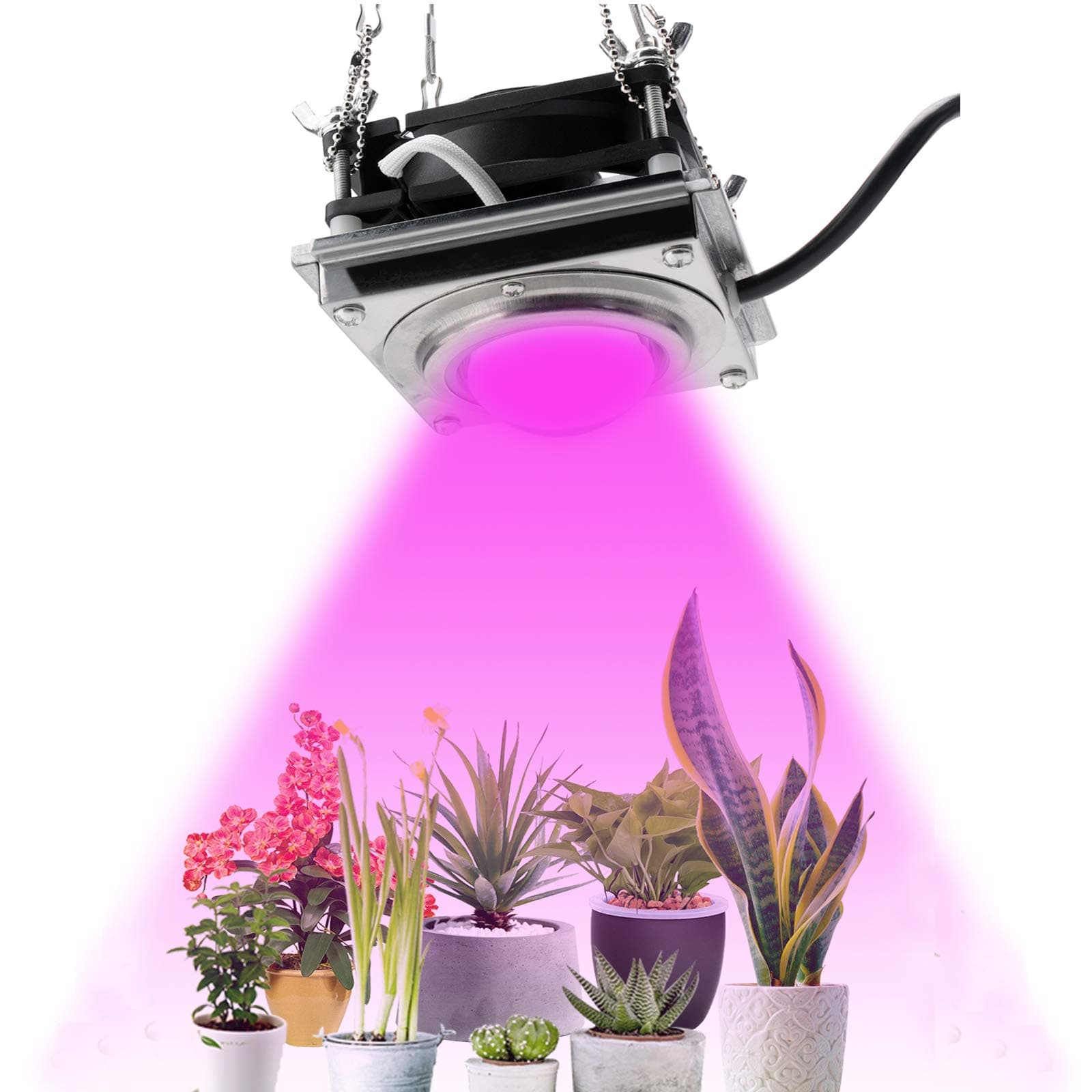 FrideMok LED Grow Lights for Indoor Plants,4000K 300W Sunlike Full Spectrum Plants Growing Lights with Cooling Stronger Heat Dissipation Without Noise,COB Plant Grow Lamp for House Plants
