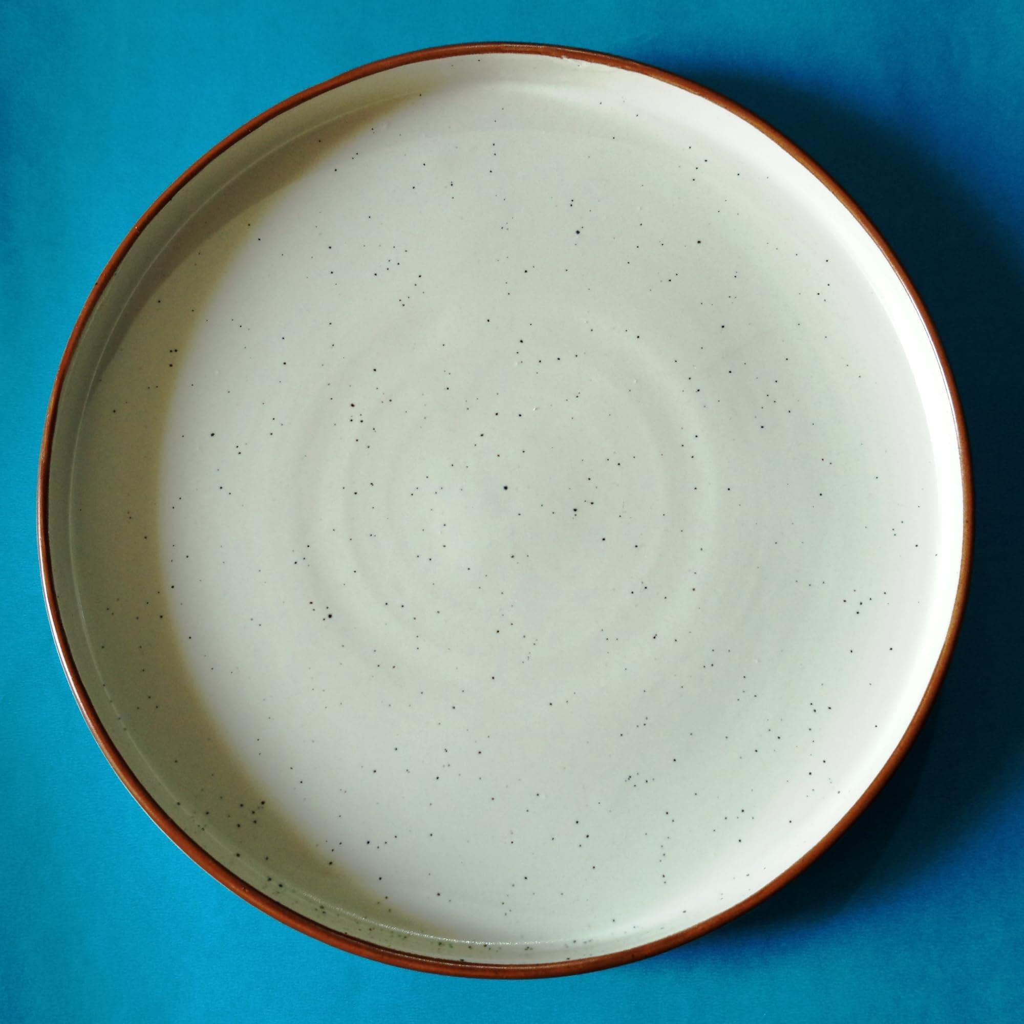 Lupaava Ceramic Dinner Plate Microwave, Oven, and Dishwasher Safe 10 Inch (Brown Border)