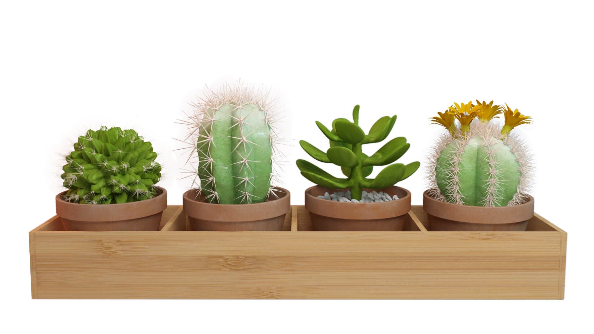 Rectangular Wooden (Bamboo) Window Planter Box / Four-sectioned Tray for Succulents, Herbs And Flowers