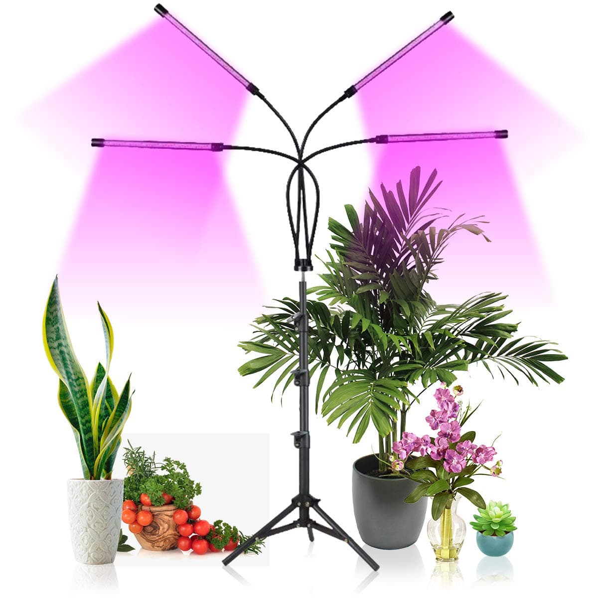 Ganeed Grow Lights with Stand, 80 LED Floor Grow Light for Indoor Plants with Red Blue & Mixed Spectrum,Plant Growing Lamps with 10 Dimmable Levels, 3/9/12H Timer,3 Light Modes,Tripod Adjustable