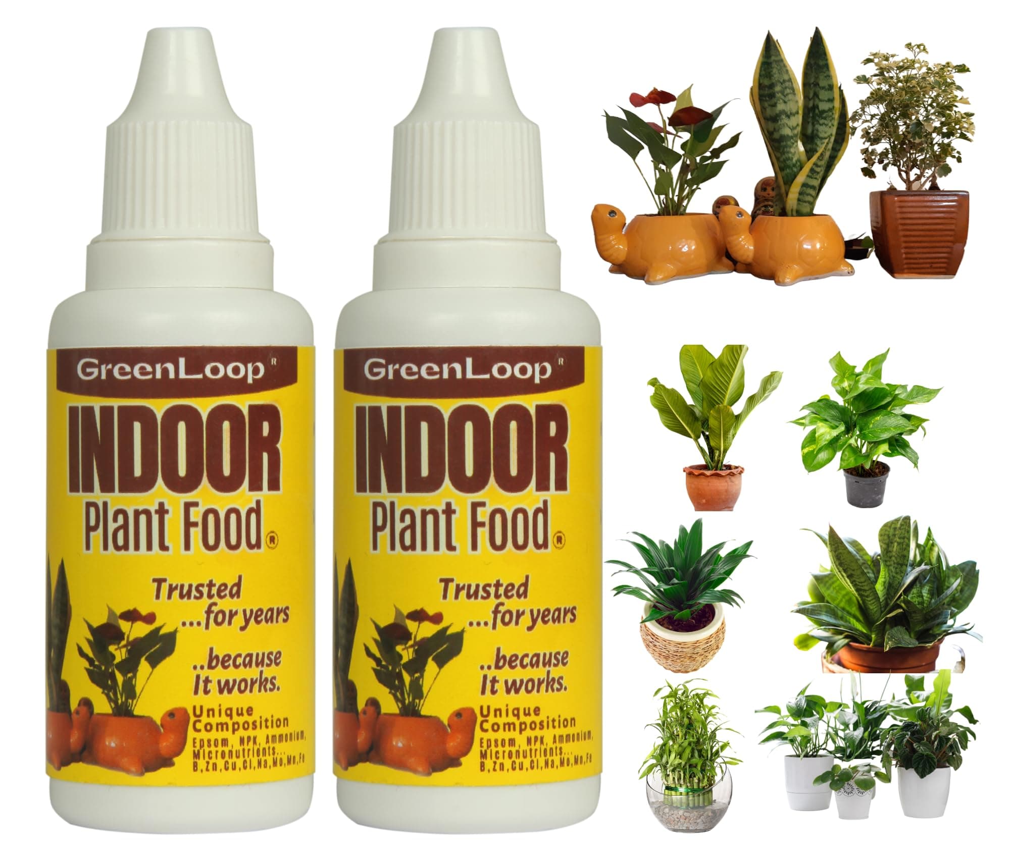 Indoor Plant Food - Liquid Food for Indoor Plants, Two Bottles, Each 30 ml