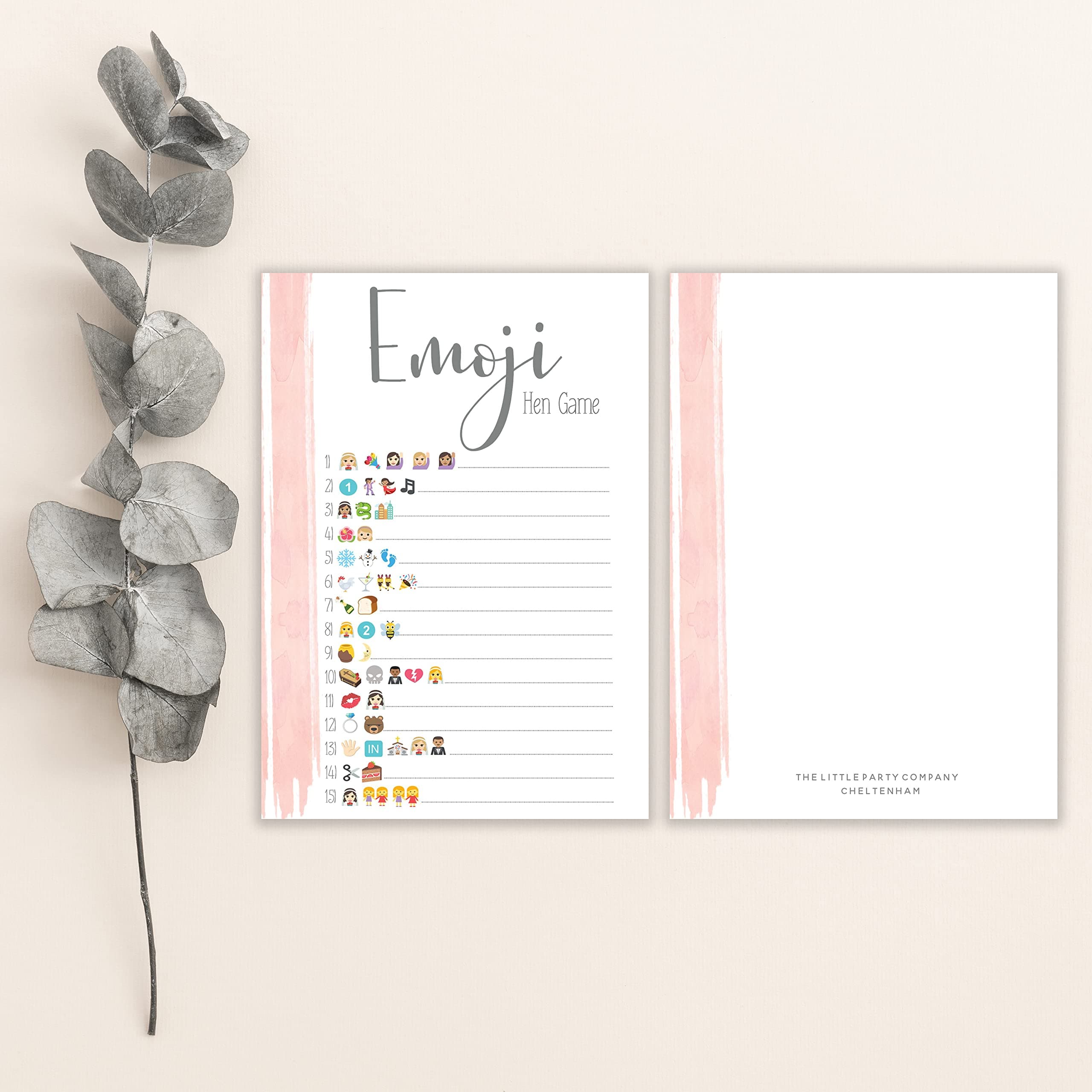 Hen Party Picture Game Pink Swash Design Hen Party Accessories 10 pack (HEG)