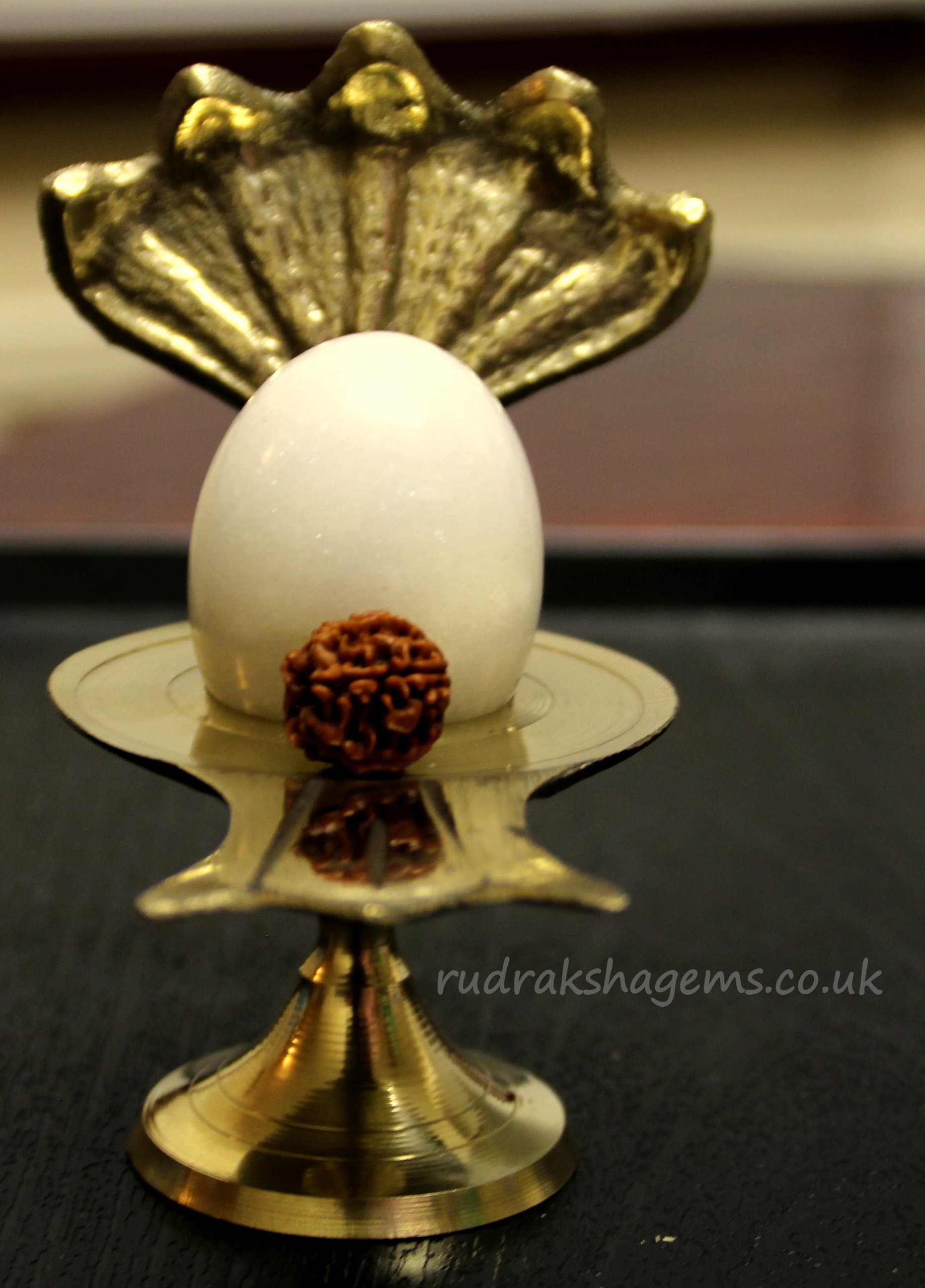 Shaligram Shiva Lingam Fossil Stone Statue Hindu Puja Stand 5 Mukhi Rudraksha