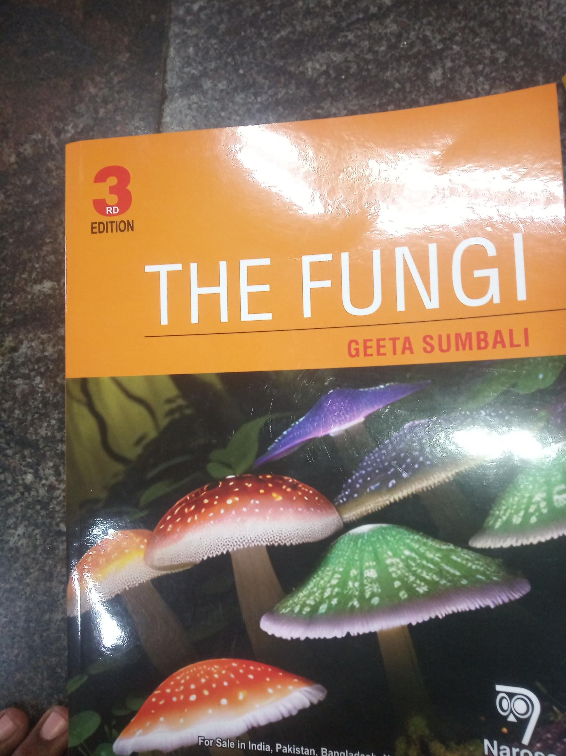 The Fungi