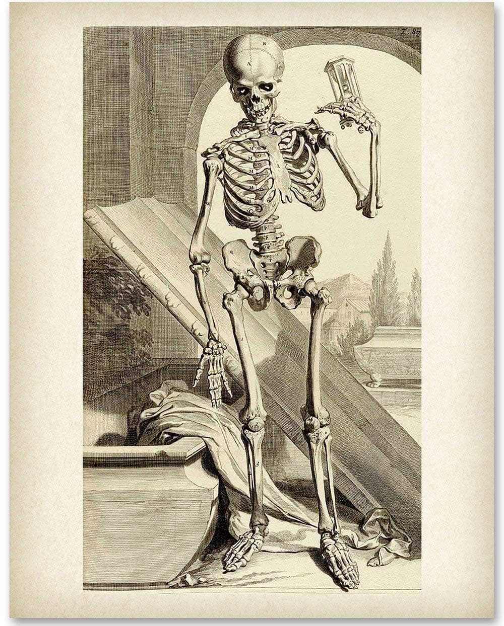 Death Comes in Time - Time and Mortality 11x14 Unframed Print, Memento Mori Wall Art Poster, Anatomical Skeleton Vintage Illustration, Gothic Macabre Home Decor, Dark Academia, Eerie Gothic Décor