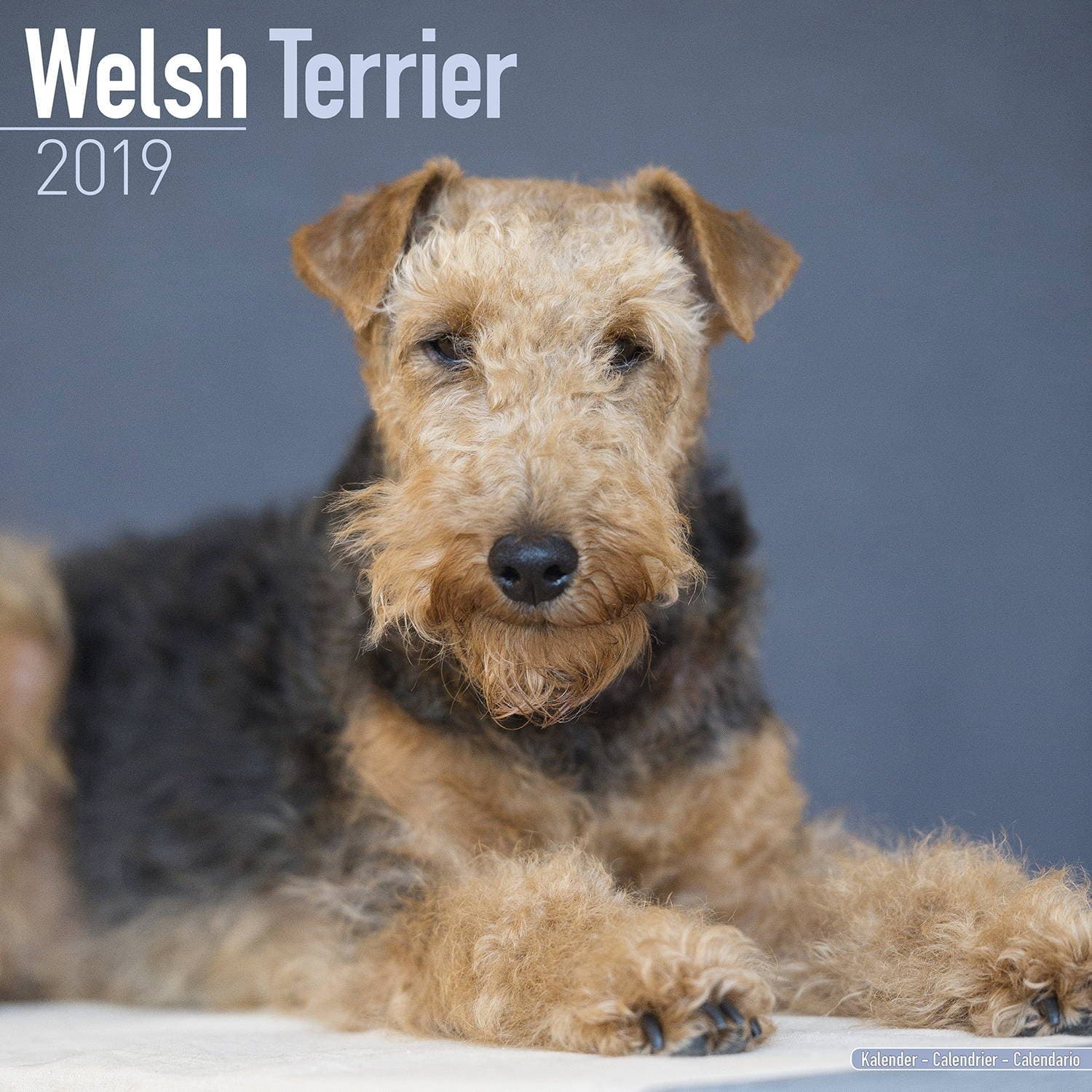 2025 2026 Welsh Terrier Calendar - Dog Breed Monthly Wall Calendar - 12" x 24" Open - Thick No-Bleed Paper - Giftable - Academic Teacher's Planner Calendar Organizing & Planning
