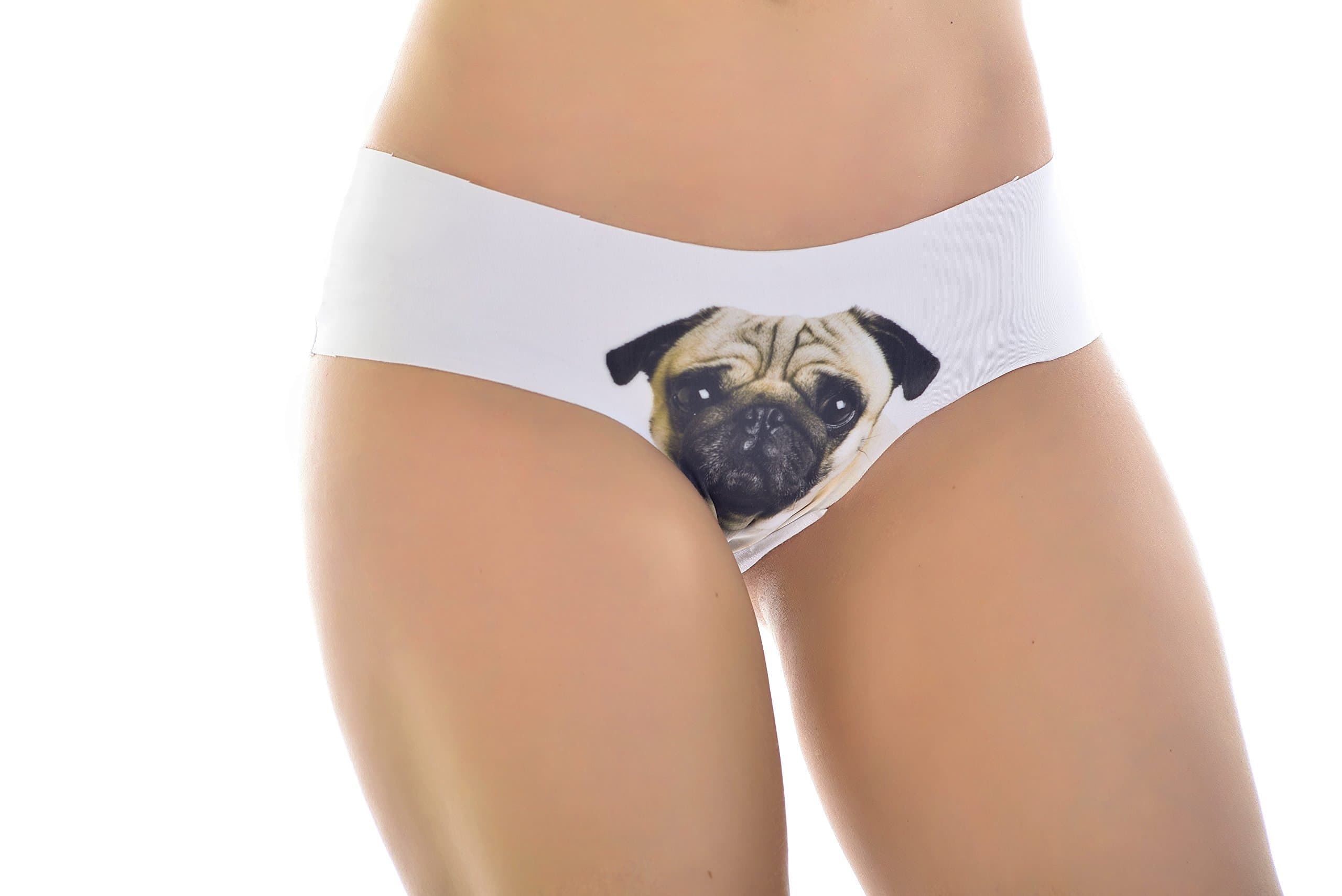 BELLA MIMOSA 2 Pack, Black Cat, Gray Cat, Hipster Panties. Cat Lingerie for Women.