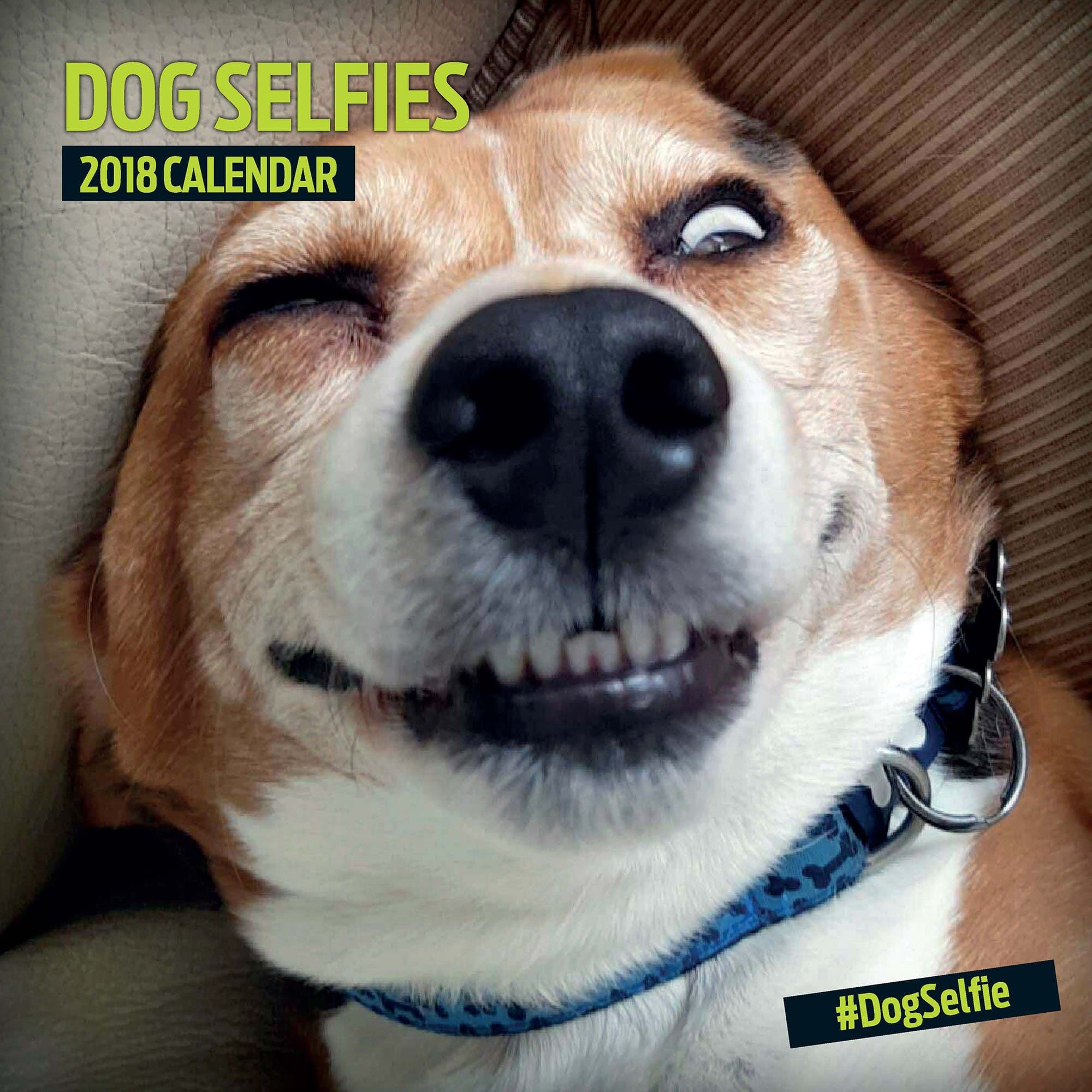 Magnet & Steel Dog Selfies Calendar