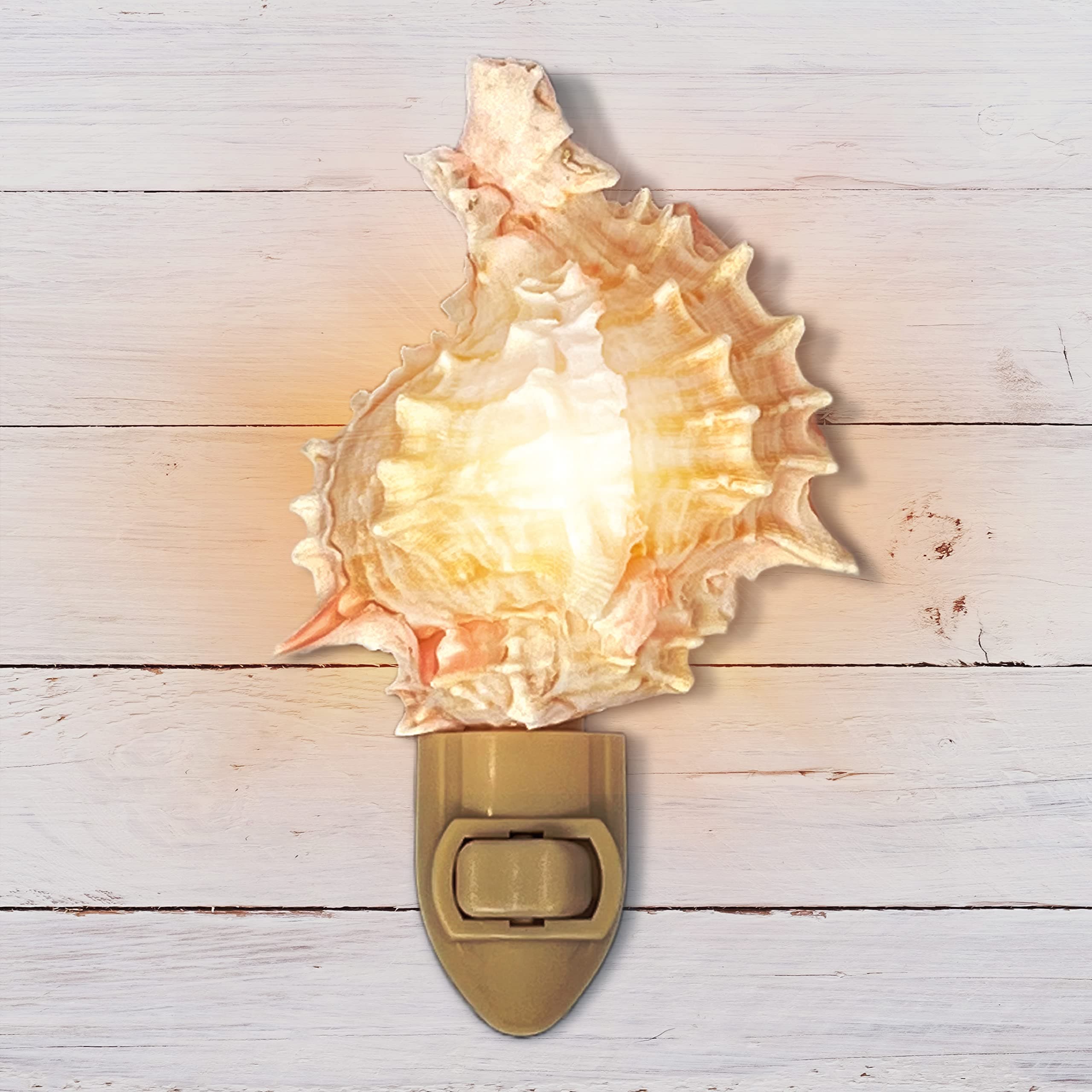 Tumbler Home Shell Night Light, Seashell Nightlight for Bathroom, Unique Coastal Night Light for Nautical, Ocean & Beach Décor