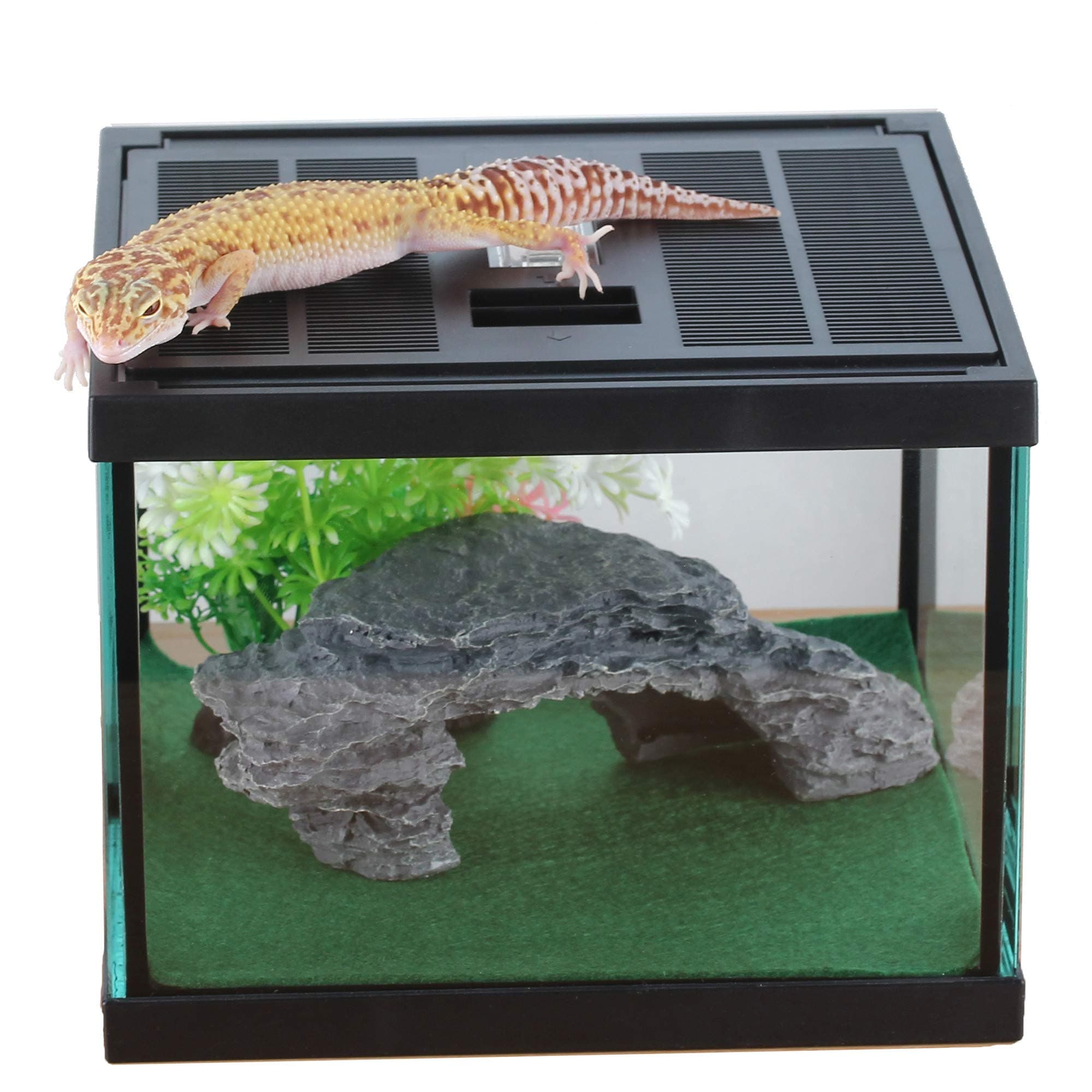 crapelles Glass Lizard Tank, Spider Box Kit, 7.8x7.8x5.9'' Tarantula Feeder Insects Beetle Habitat, Amphibians Terrarium for Small Pet, with Washable Mat, Resin Rock Shape Hideout, Artificial Flower