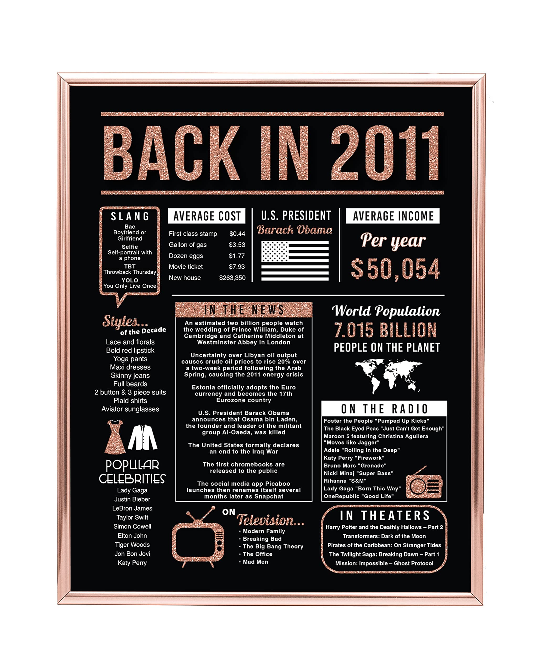 Katie Doodle - 13th Birthday Decorations for Girls - 13 Year Old Girl Gift Ideas - 13 Birthday Decorations for Girls - Gifts for 13 Year Old Girl - Includes 8x10 Back-in 2010 Sign (Unframed) Rose Gold