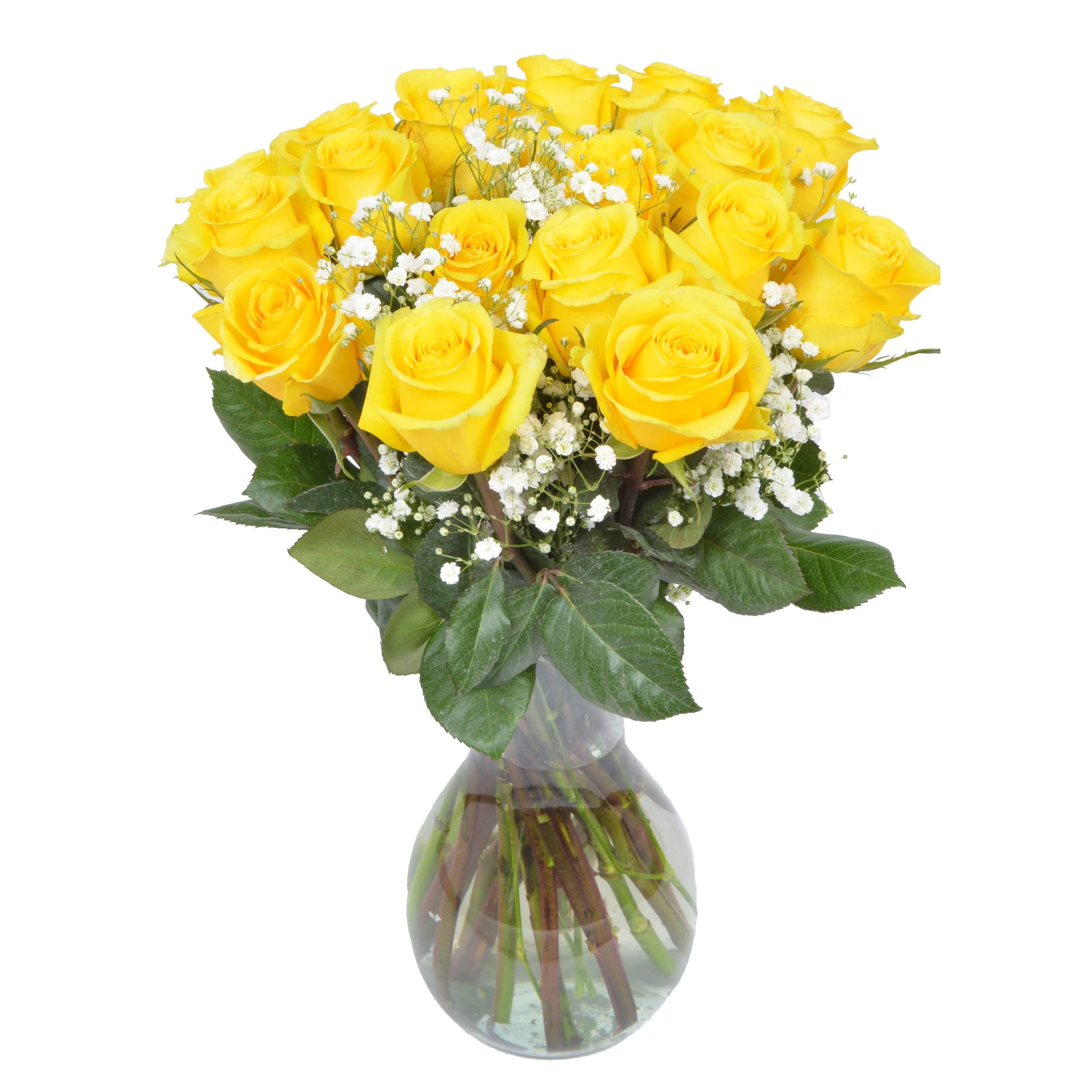 18 Yellow Roses + Baby's Breath in glass Vase | Arabella Bouquets | Real Fresh Flowers for Delivery, Gift for Birthday, Congratulations, Anniversary