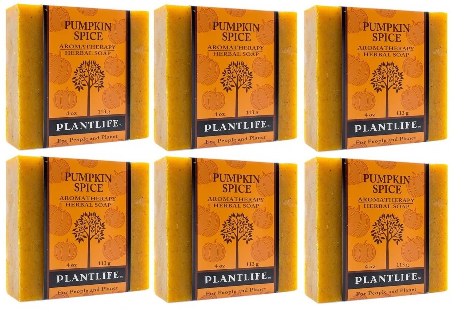 Plantlife Pumpkin Spice 6-pack Bar Soap - Moisturizing and Soothing Soap for Your Skin - Hand Crafted Using Plant-Based Ingredients - Made in California 4 oz Bar