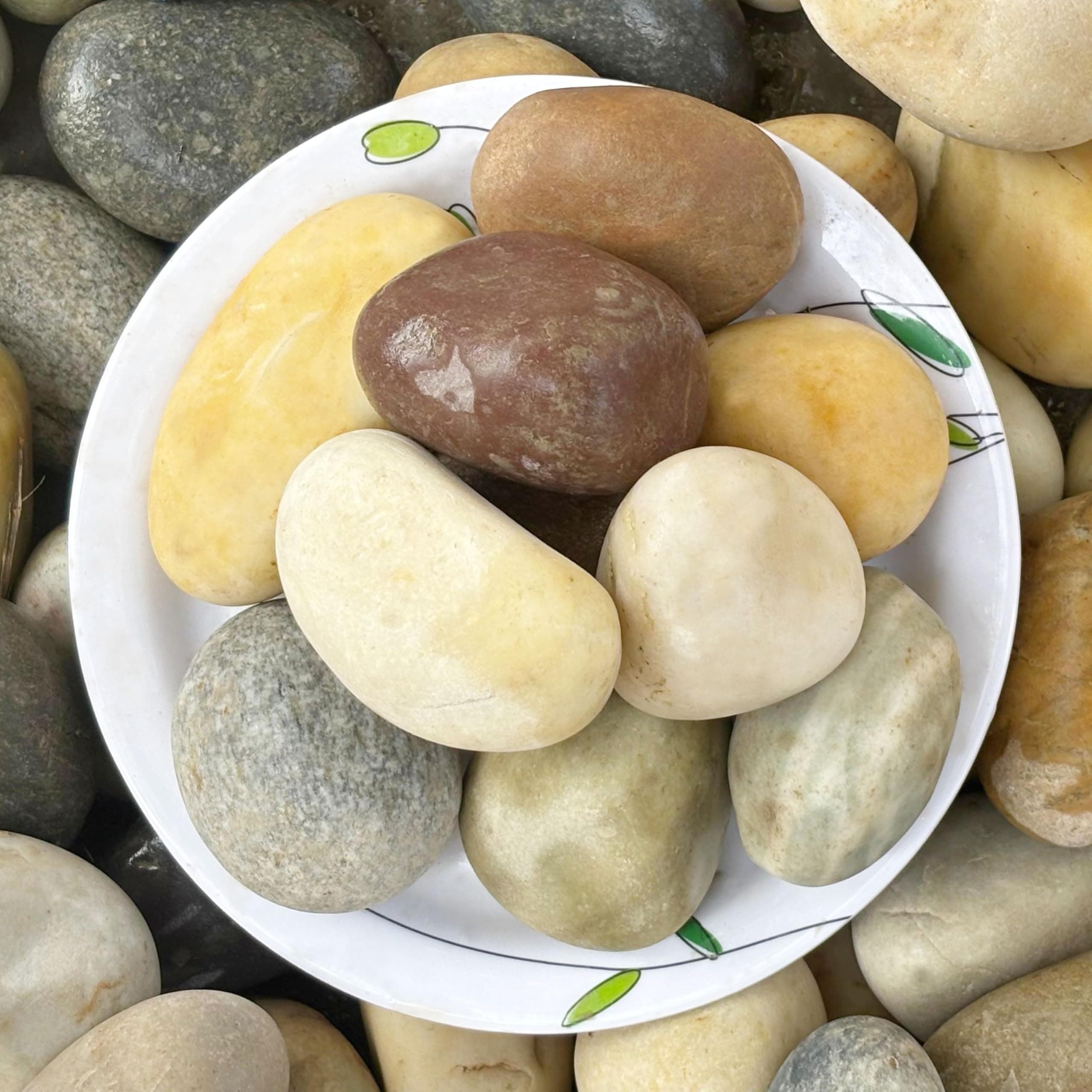 River Rocks Natural Multicolour Big Monster Stone - (Large - Pack of 10) for Painting, Aquarium/Fish Tank, DIY, Arts, Crafts, Home Decoration, Garden, and Swimming Pool