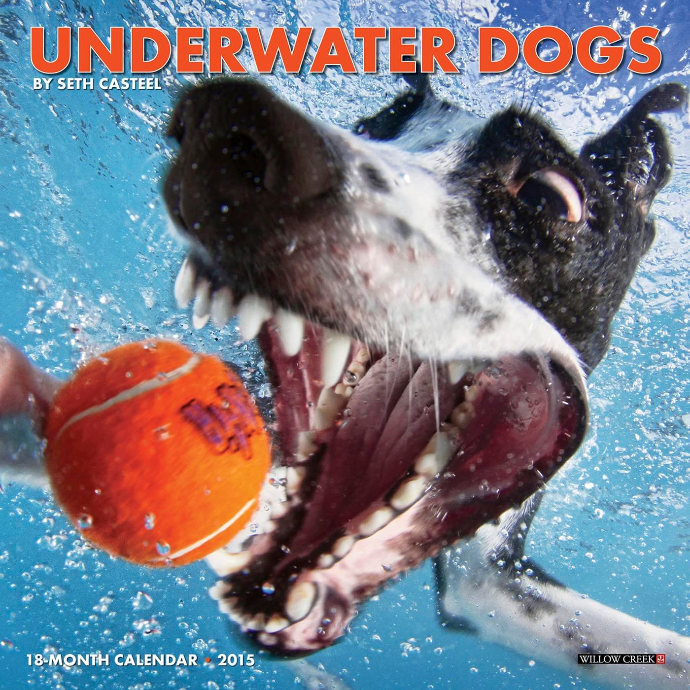 Underwater Dogs 2015 Mini Calendar Calendar – Wall Calendar, June 15, 2014