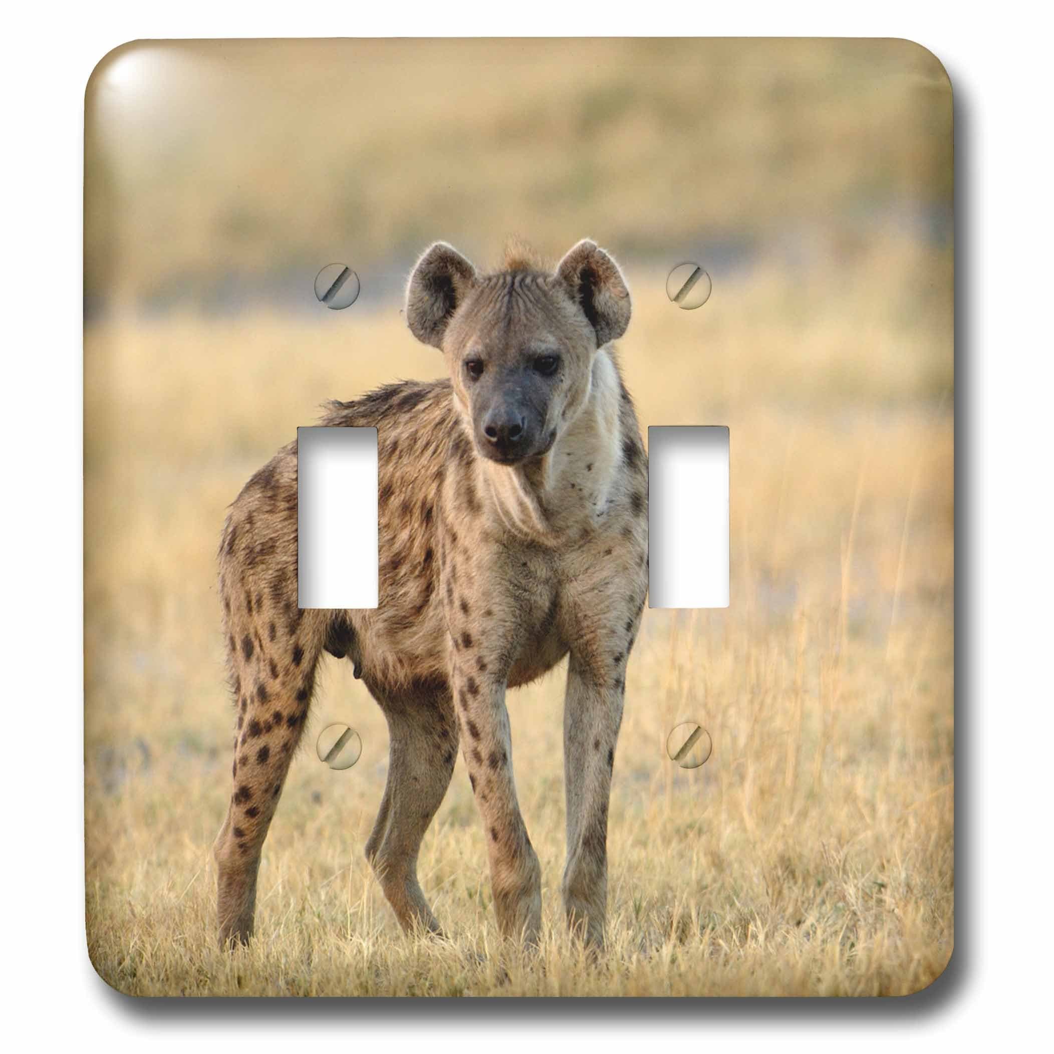 3dRose lsp_76151_2 Spotted hyena, Chiefs Island, Okavango Delta. BOTSWANA Double Toggle Switch