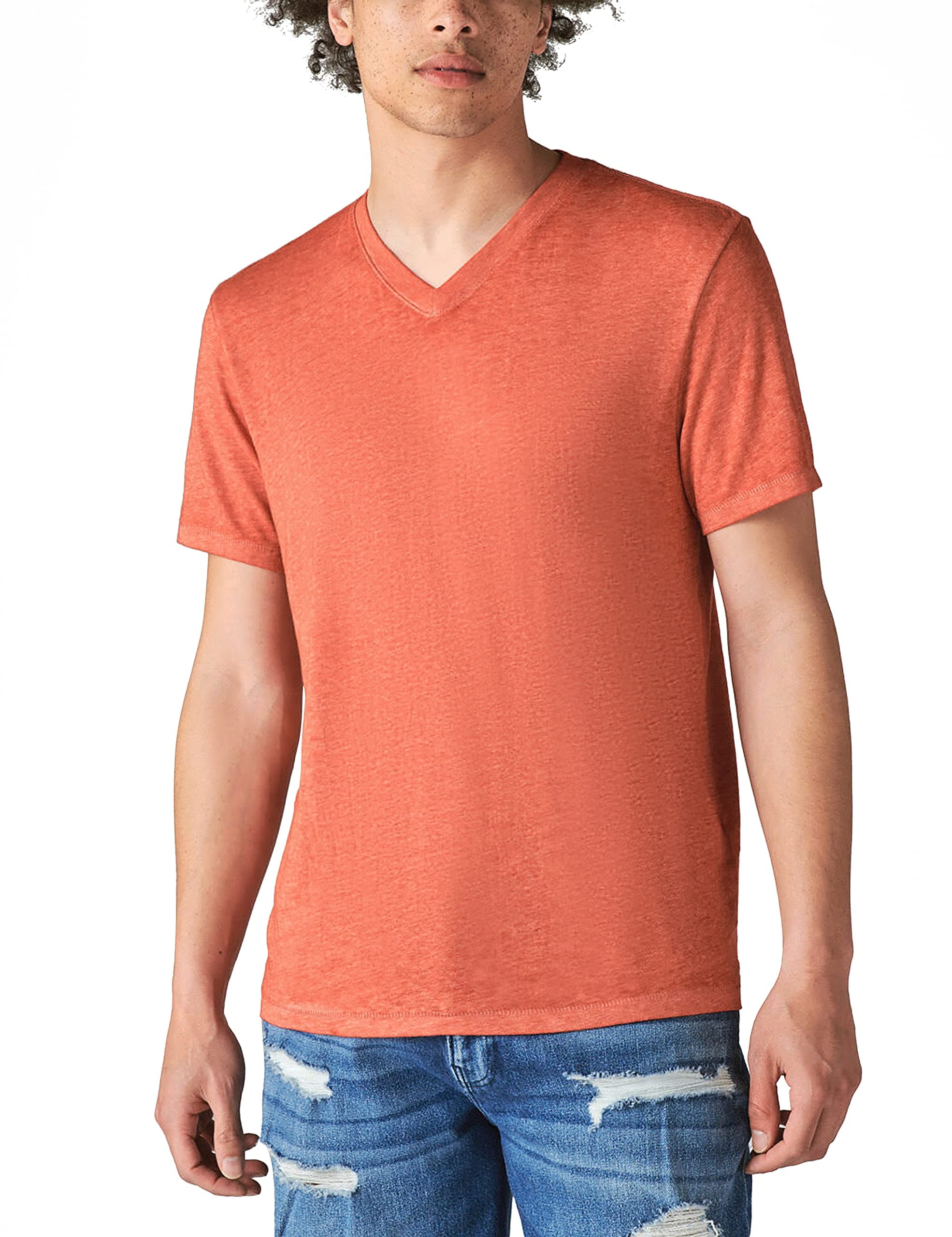 Mens Venice Burnout V Neck Tee