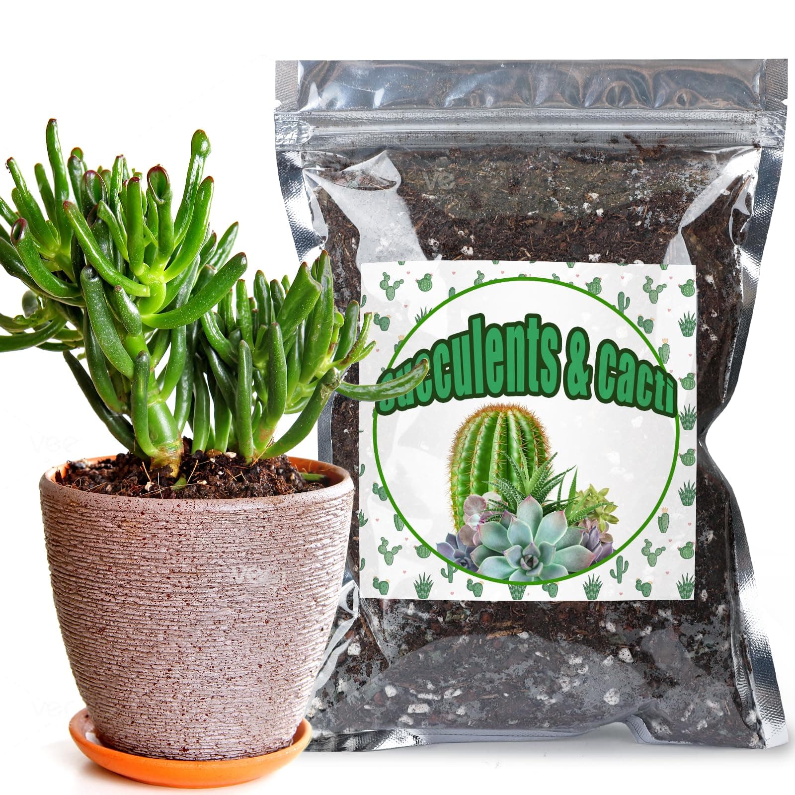 Cactus & Succulent Soil Mix 1qt, Chunky Well-Draining Soil for Indoor Plants - Spike & Bloom