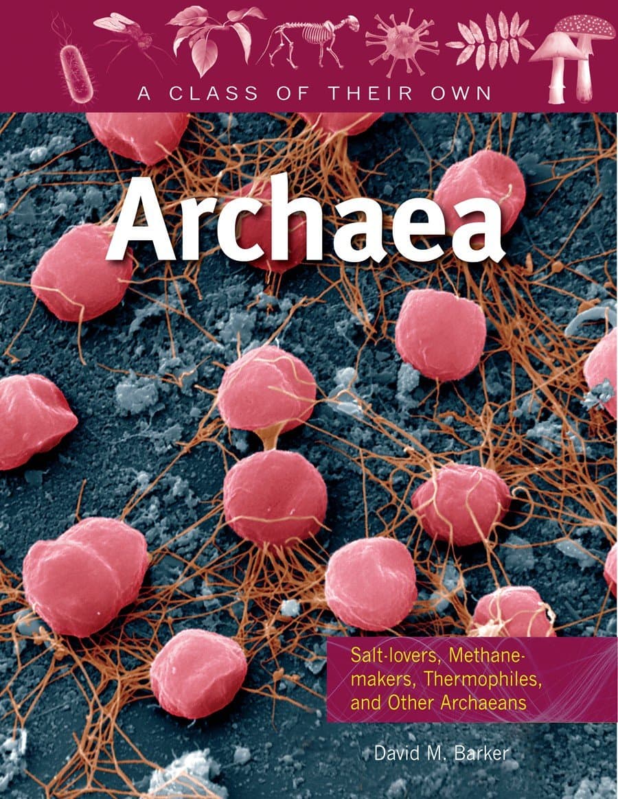 Archaea: Salt-Lovers, Methane-Makers, Thermophiles, and Other Archaeans