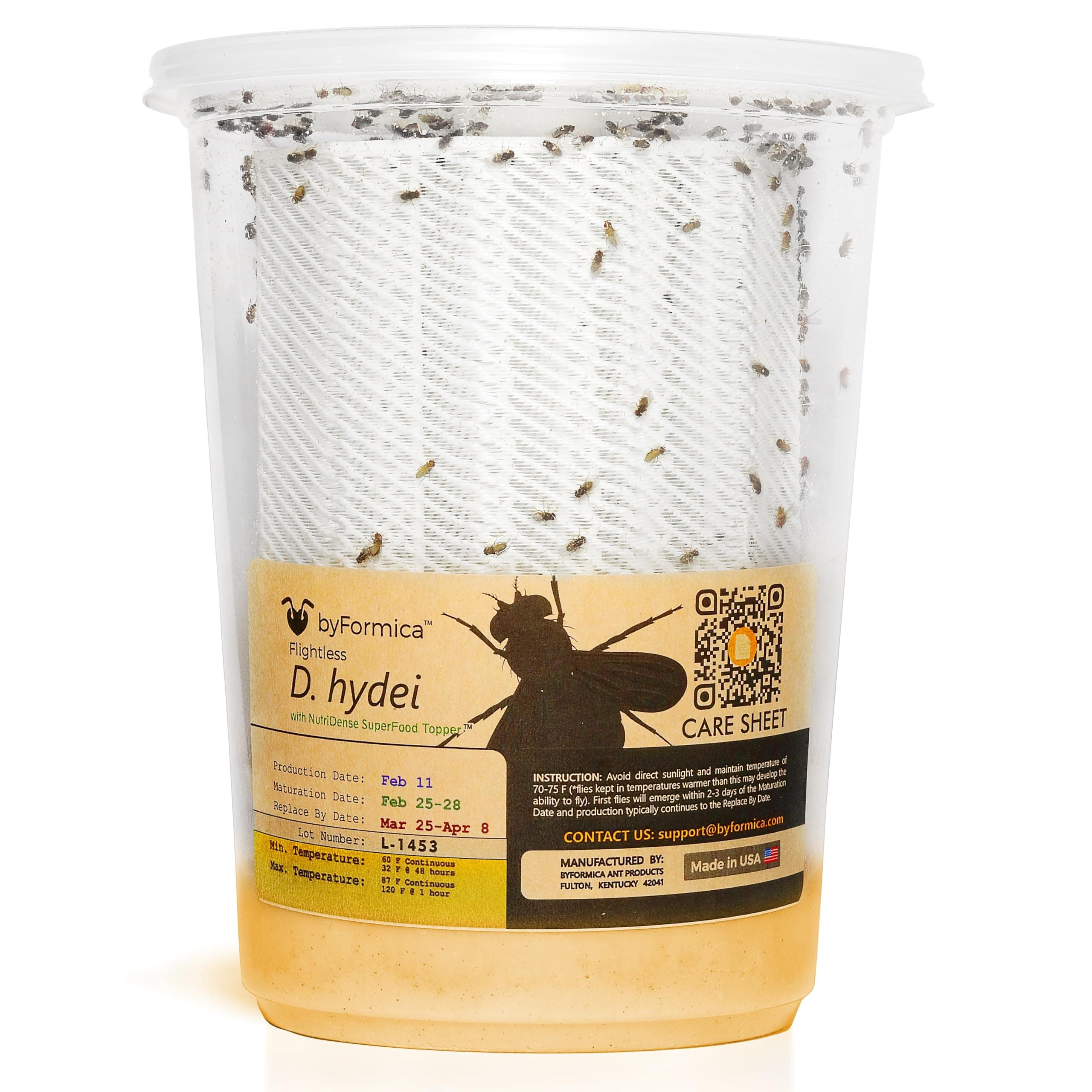 byFormica Flightless Drosophila hydei Fruit Fly Culture with NutriDense SuperFood Blend (Producing, 32 oz. Cup)