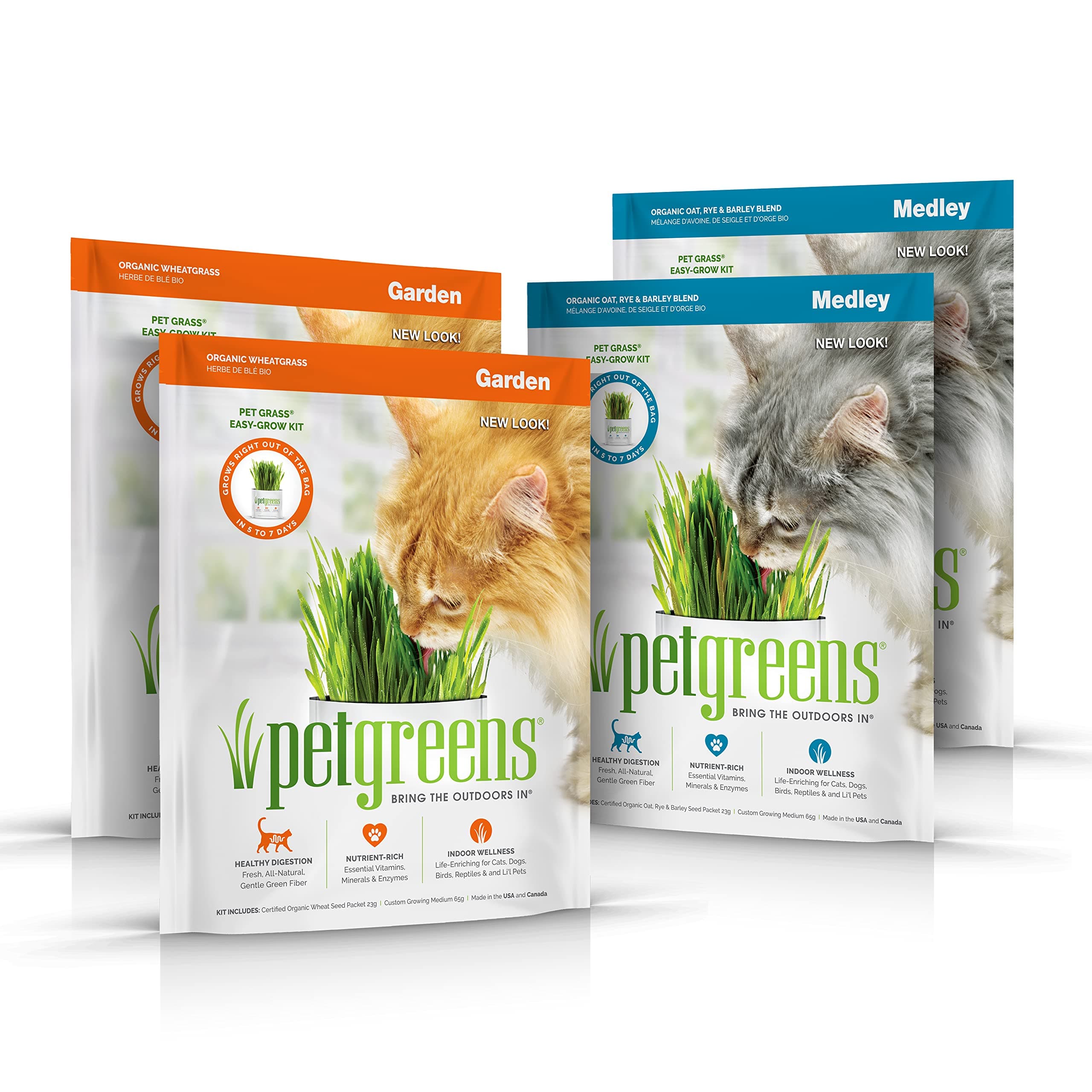 4 Pack Cat Grass Garden Wheatgrass self Grow and Medley Oat, Rye and Barley, 2 of Each 3oz Package