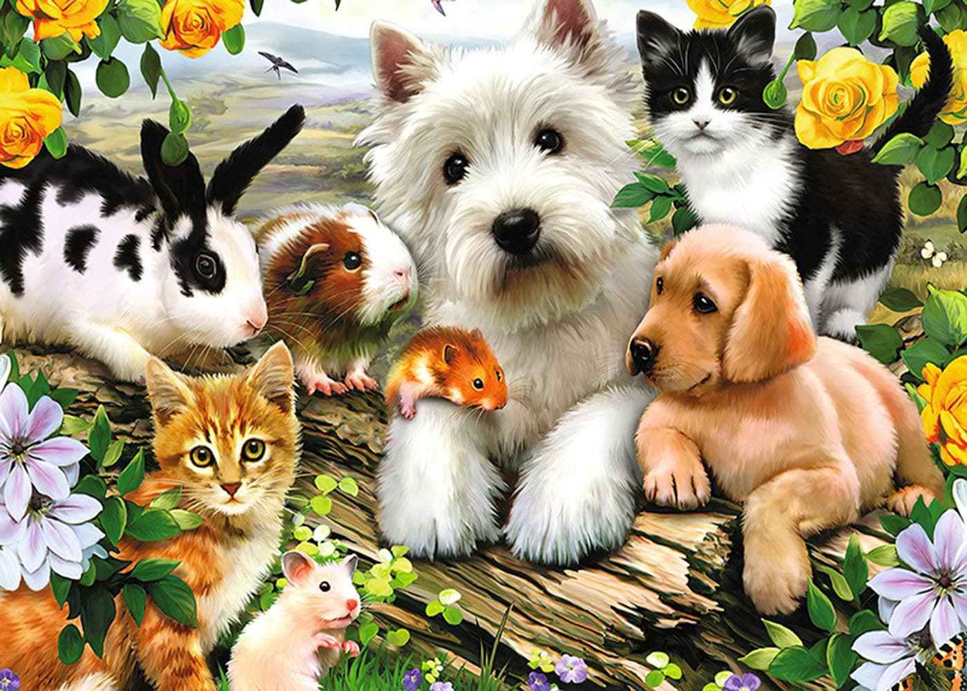 1000 Piece Puzzles for Adults, Jigsaw Puzzles Adult Puzzle Novelty Games for Family, Animal Puzzles Toys DIY Gifts Home Decor (Amimal A)