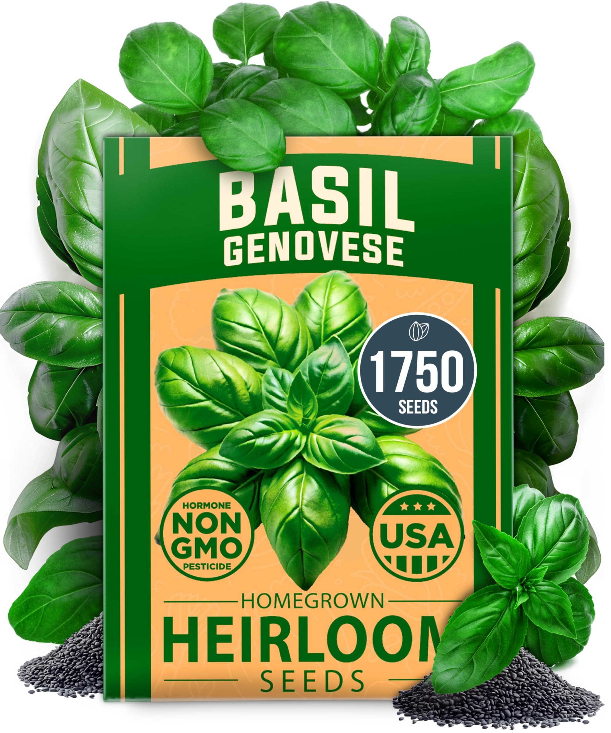 HOME GROWN Non GMO Genovese Basil Seeds Pack 1,750+ High Germination Heirloom Seeds (Ocimum basilicum) Herb Seeds for Planting Indoor & Outdoor Gardening, for Culinary Use