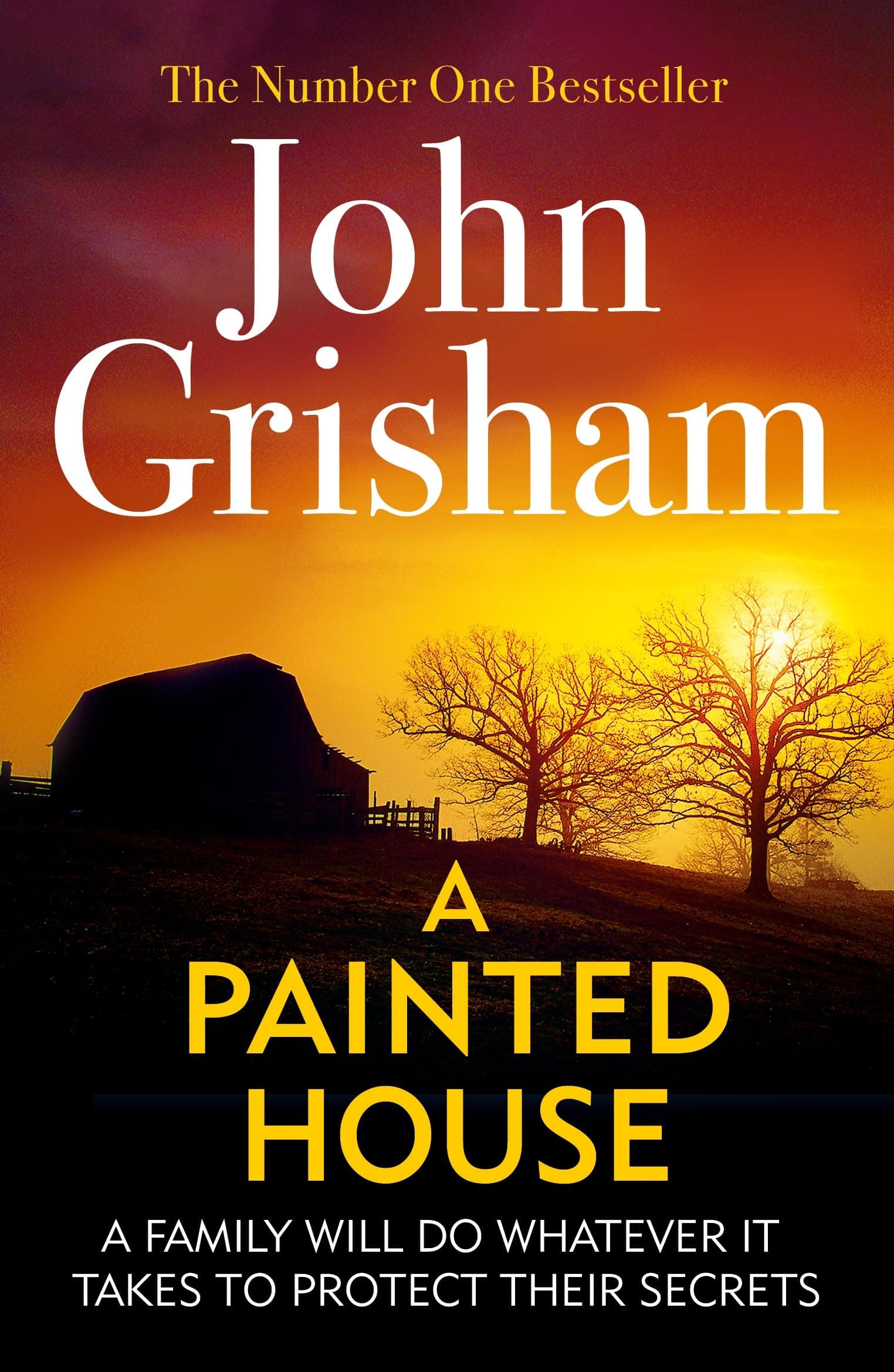 A Painted House: A gripping crime thriller from the Sunday Times be