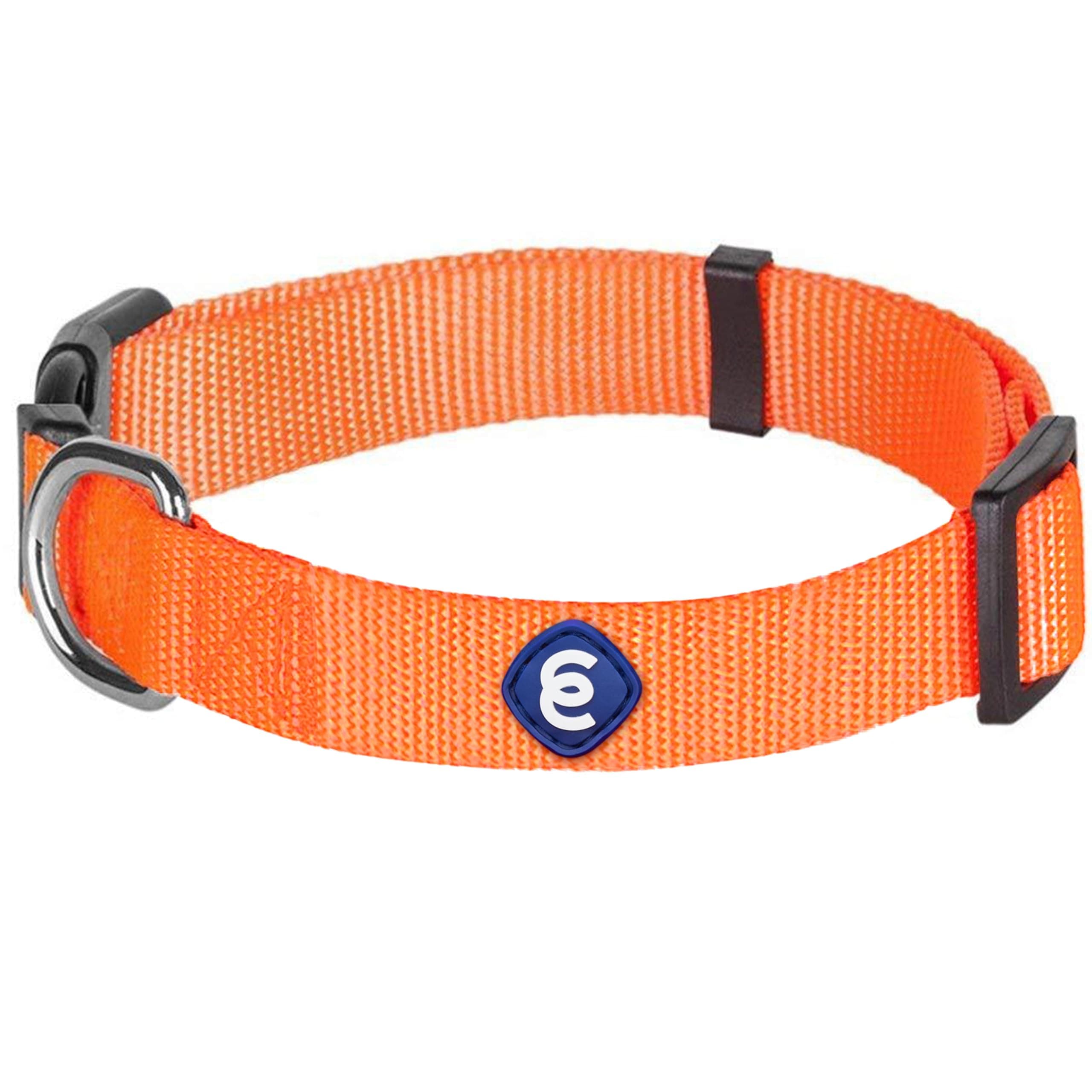 Essentials Florence Orange Adjustable Nylon Dog Collar for Small Dogs, Classic Solid Color Pet Safety & Style for Small Dogs