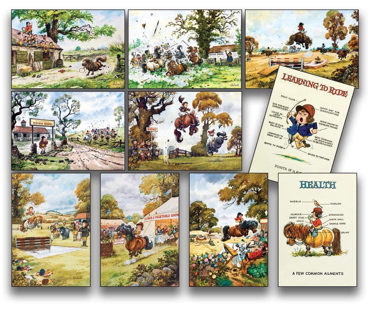Thelwell 10 pony notecards with envelopes. A great horse, equestrian gift. Perfect for Thank you letters, invites etc