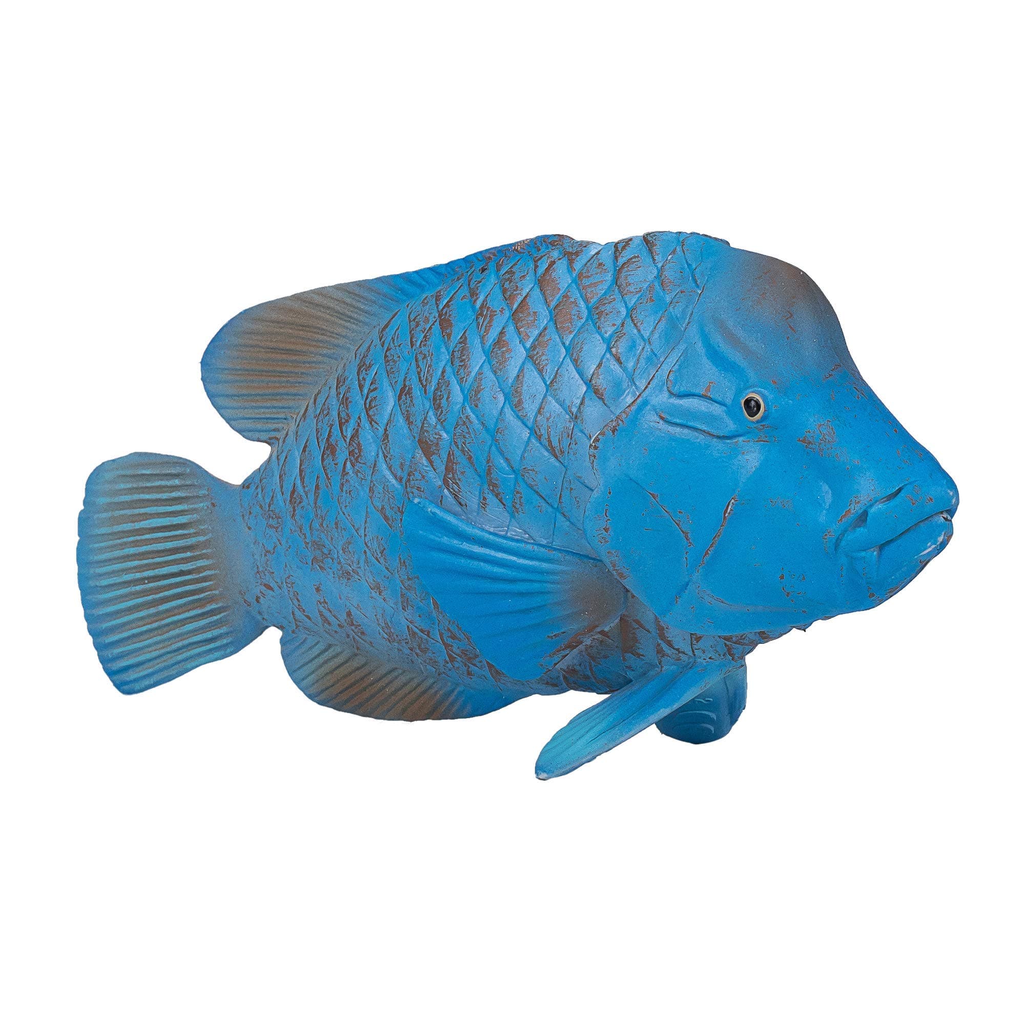 Blue Groper Sealife Animal Fish Tropical Model Toy Figure
