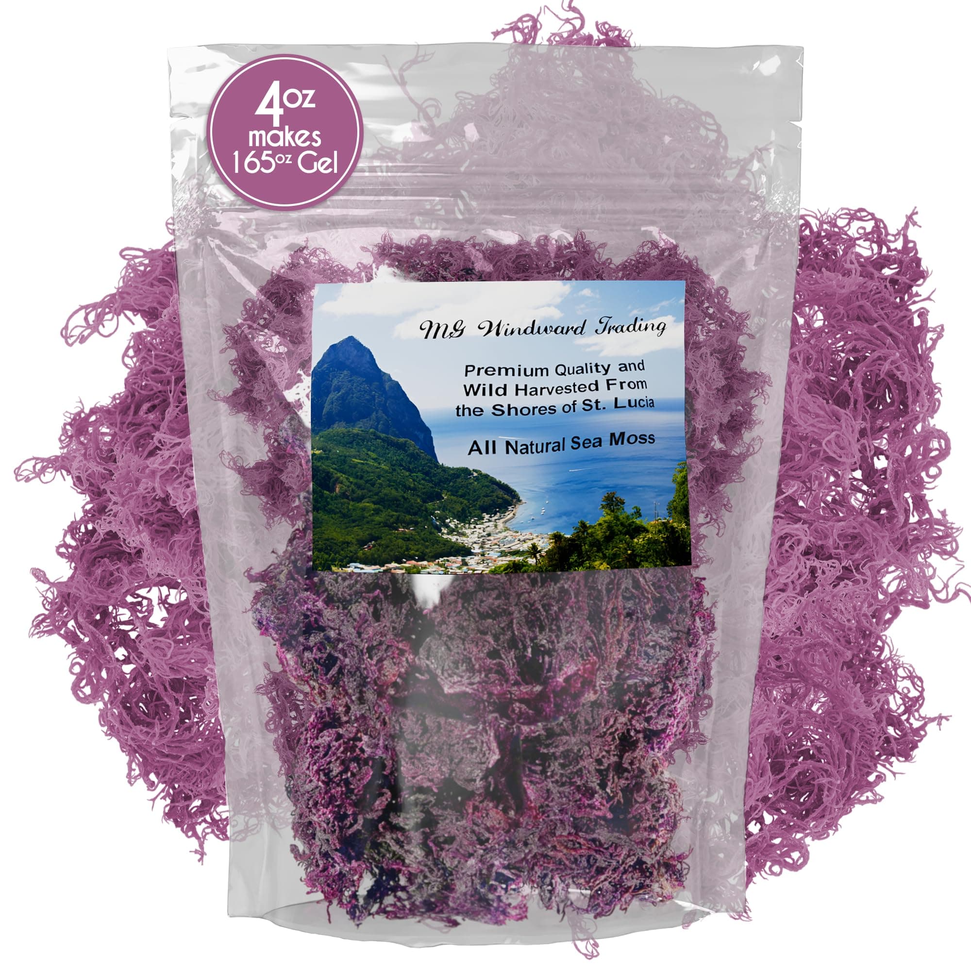 Organic Purple Sea Moss Certified Wild Harvested from St. Lucia | Dr. Sebi Grade | Pristine Quality Powerful Antioxidants, Vitamins, Minerals and Nutrients All Natural | Makes 165 oz of gel!