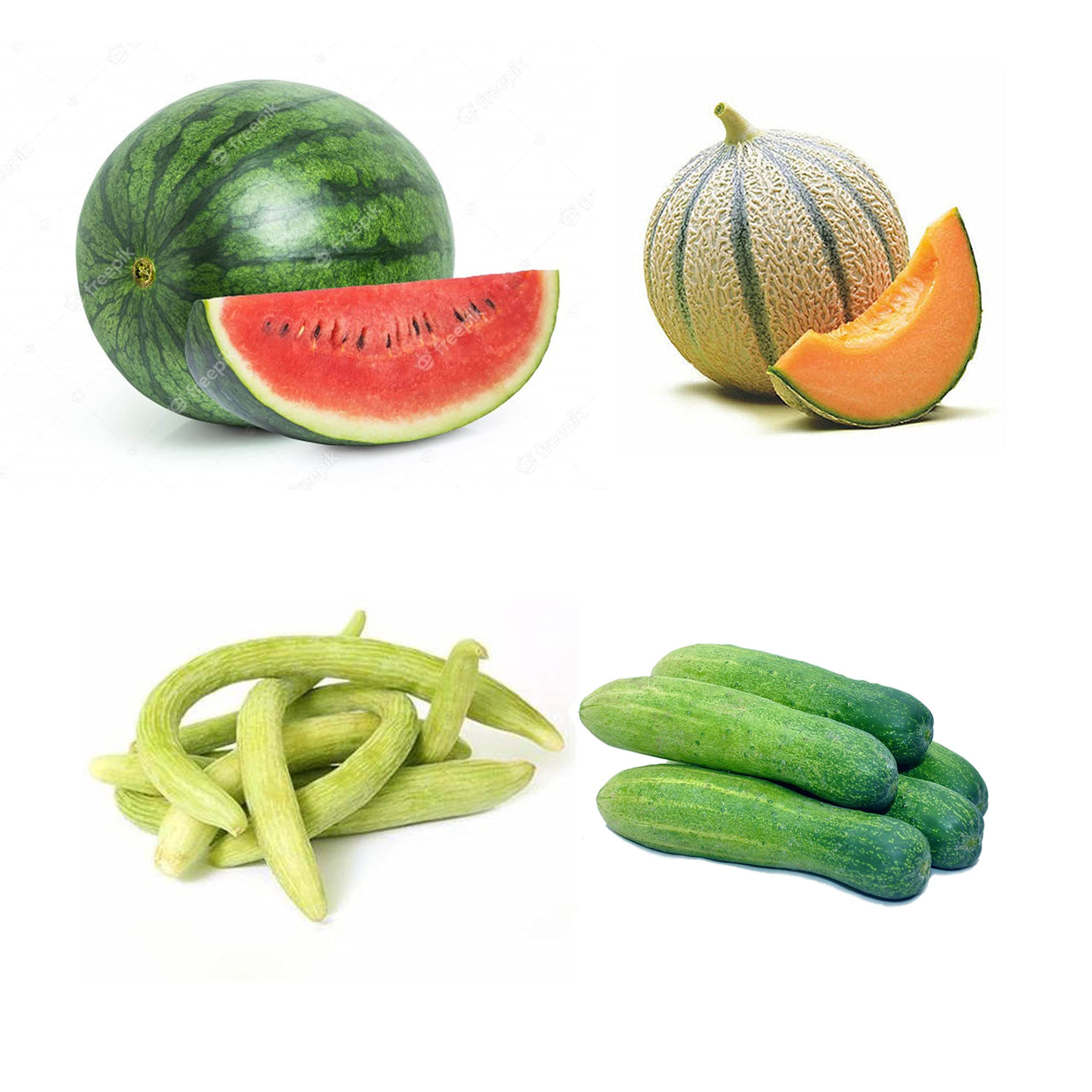 Combo Pack of 4 Summer Fruits Seeds(100% Organic). Water Melon, Musk Melon, Kakdi and Kheera.