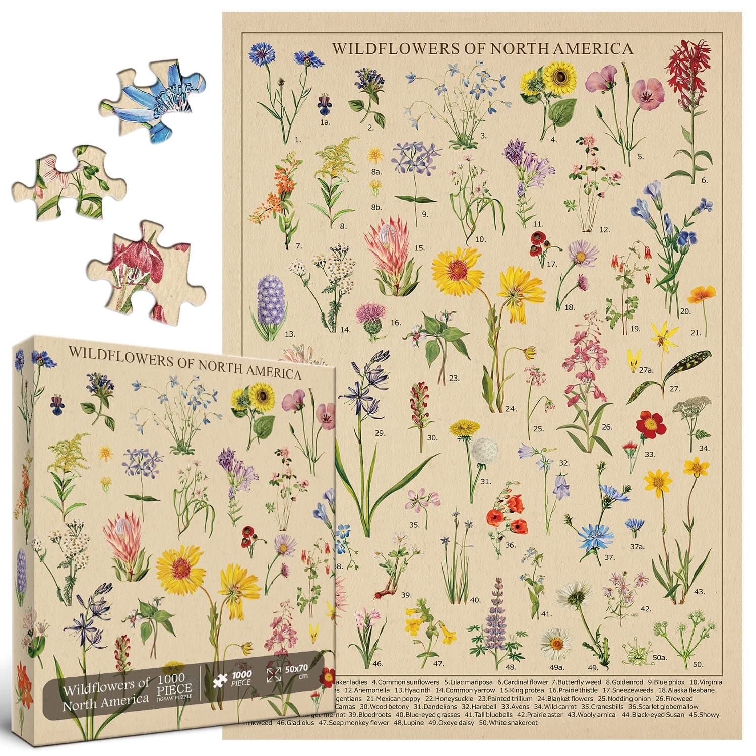 BBOLDIN Vintage Wildflowers Puzzle 1000 Pieces for Adult, Botany Plant Flower Puzzle of Wildflowers of North America, Floral Jigsaw Puzzles Nature as Plant Gifts