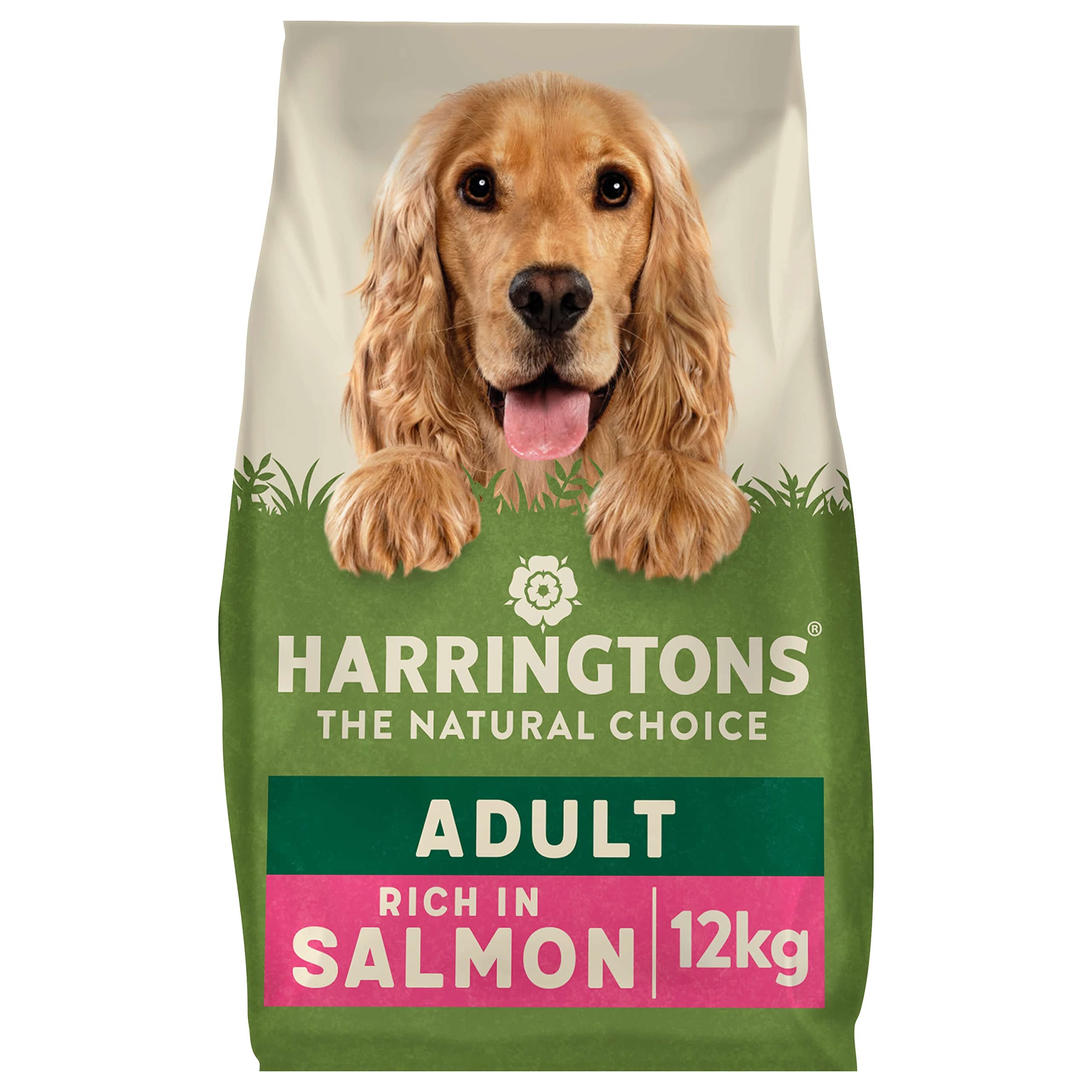 Complete Salmon & Potato Dry Dog Food 12kg