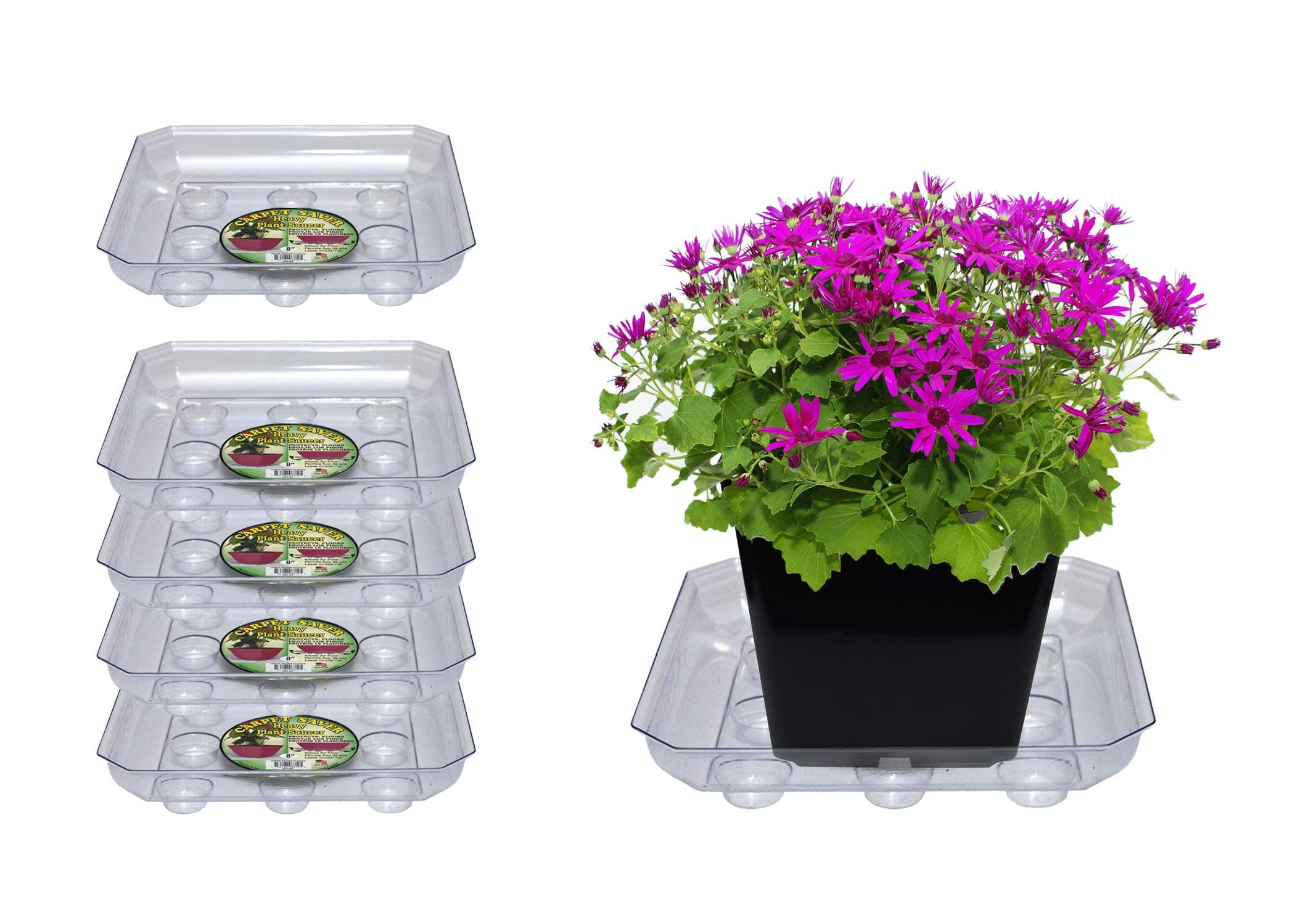 Curtis Wagner Plastics Plant Tray Carpet Savers (5-pack) | 8" outer, 5.75" inner | Square Clear | Small, Medium or Large Plastic Trays for Indoor or Garden | Clear, Black and Terracotta Saucers