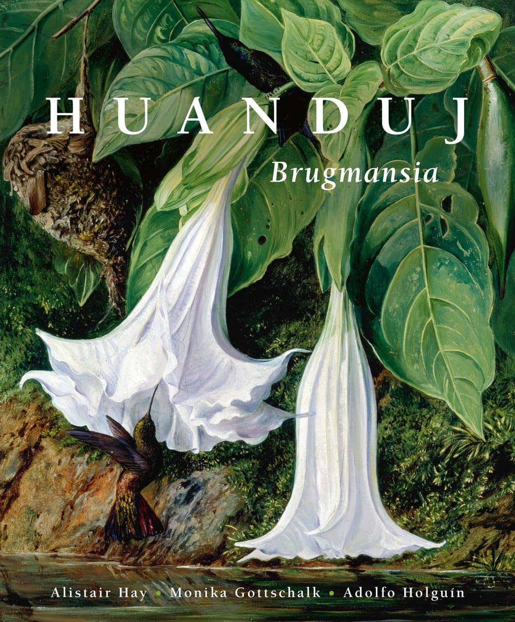 Huanduj: Brugmansia Hardcover – July 15, 2012