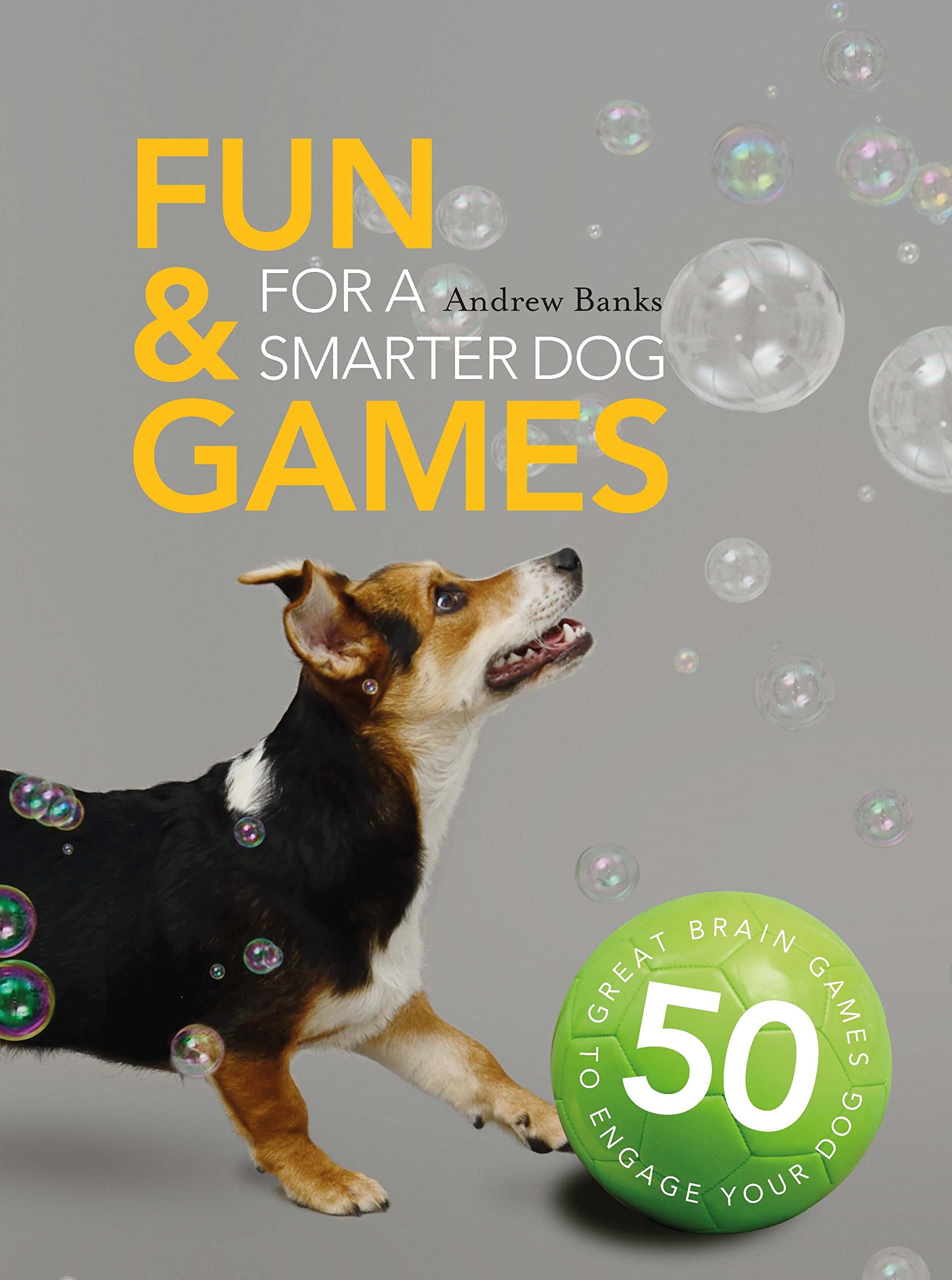 Fun & Games for a Smarter Dog: 50 Great Brain Games to Engage Your Dog Paperback – 6 Oct. 2016