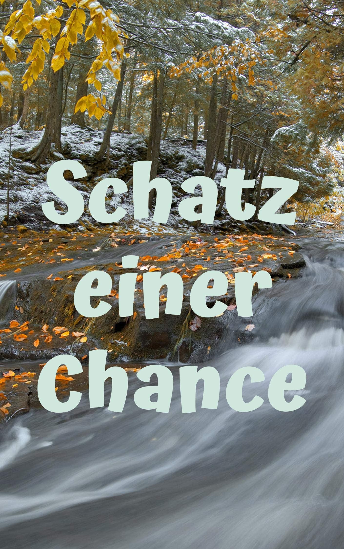 Schatz einer Chance (German Edition)