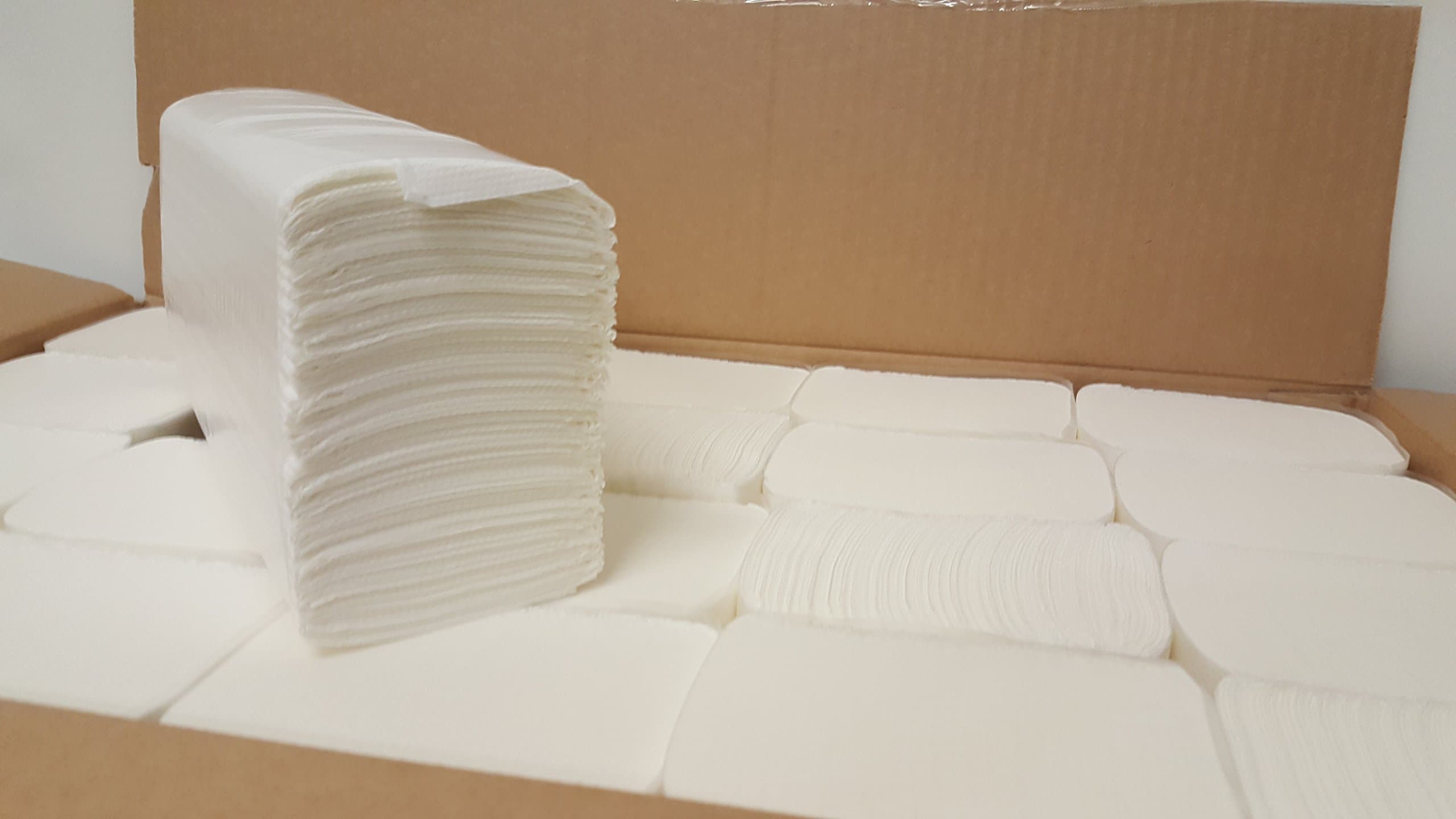 Envirotex2 Ply White Z Luxury Fold Hand Towels Case of 3000