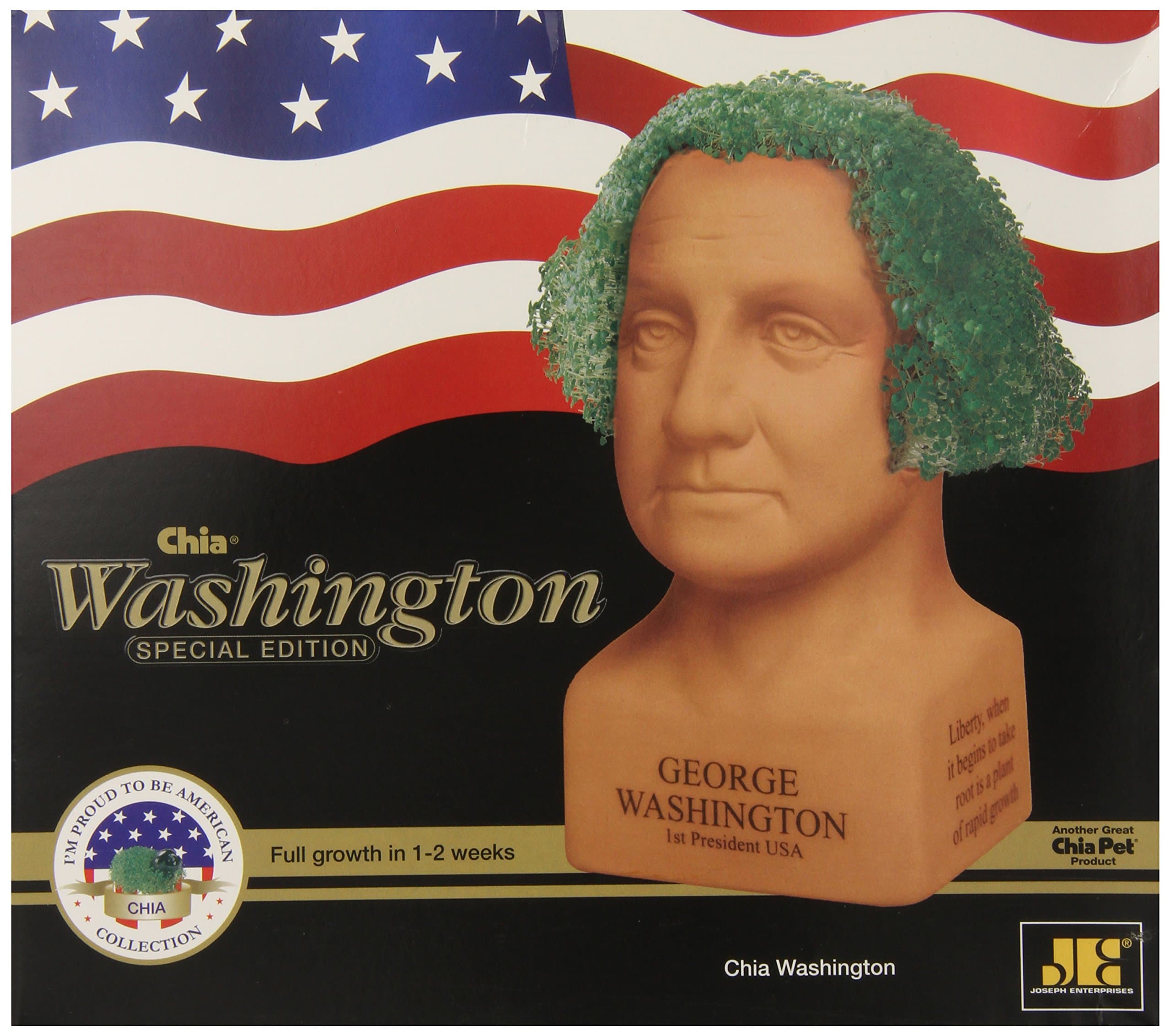 Chia Pet Abraham Lincoln with Seed Pack, Decorative Pottery Planter, Easy to Do and Fun to Grow, Novelty Gift, Perfect for Any Occasion