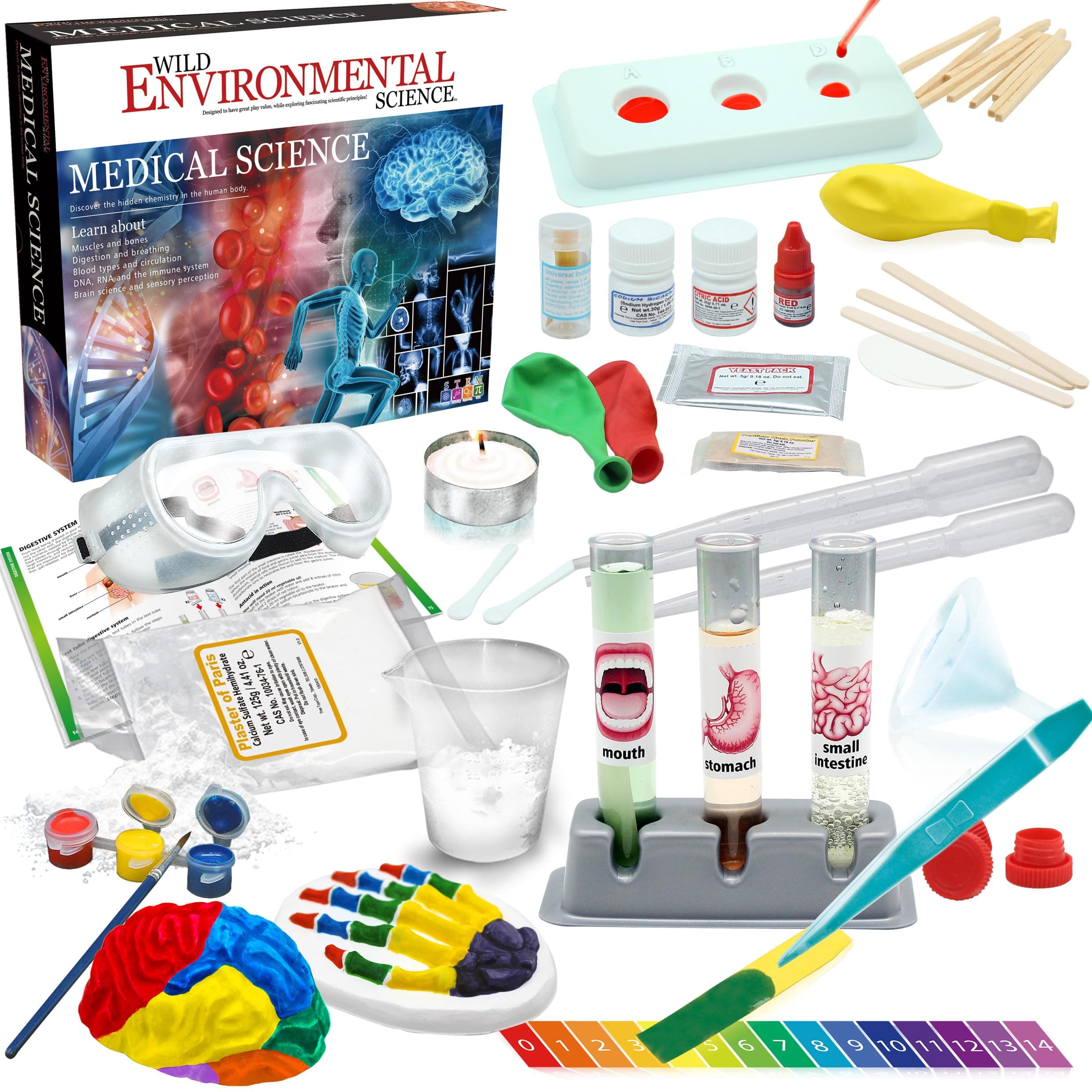 WILD ENVIRONMENTAL SCIENCE Medical Science - STEM Kit for Ages 8+ - Make a Test-Tube Digestive System, Extract DNA, Create Anatomical Models and More!