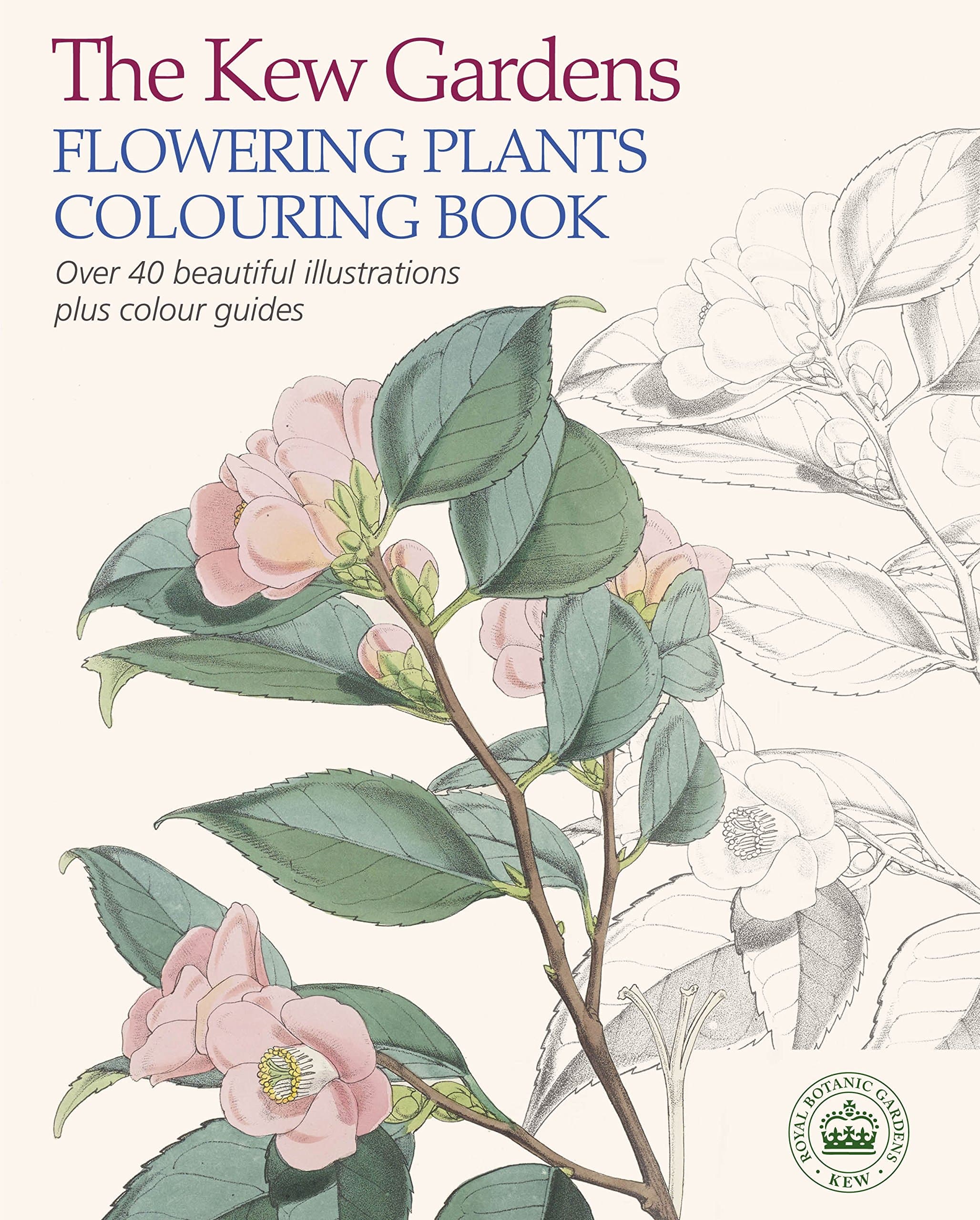 Arcturus The Kew Gardens Flowering Plants Colouring Book: Over 40 Beautiful Illustrations Plus Colour Guides