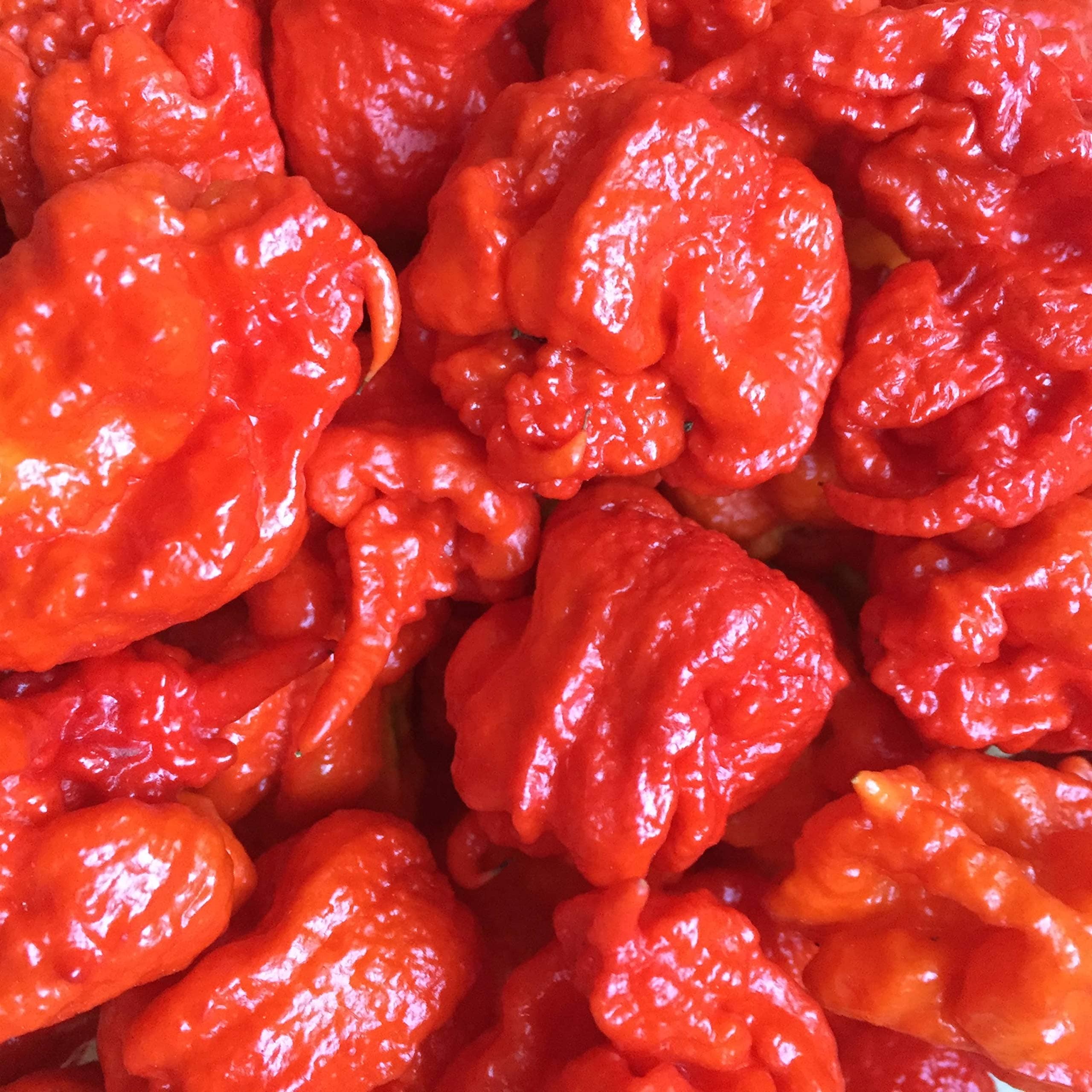 Carolina Reaper Seeds
