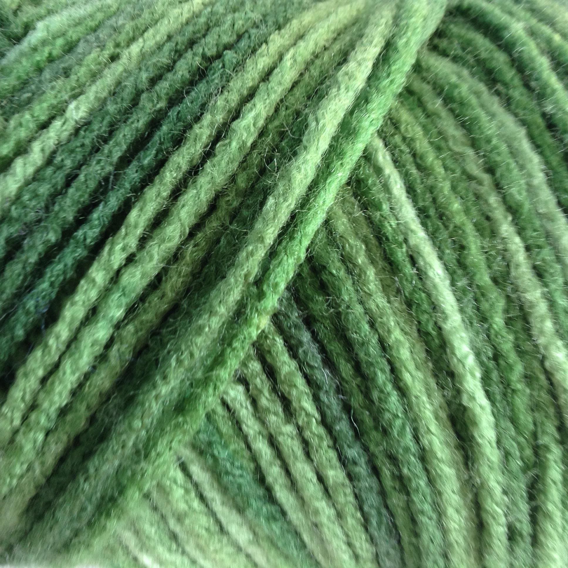 Bulk Buy: Red Heart Super Saver Yarn, Green Tones, 5 Ounces/Ball, Pack of 2 Balls