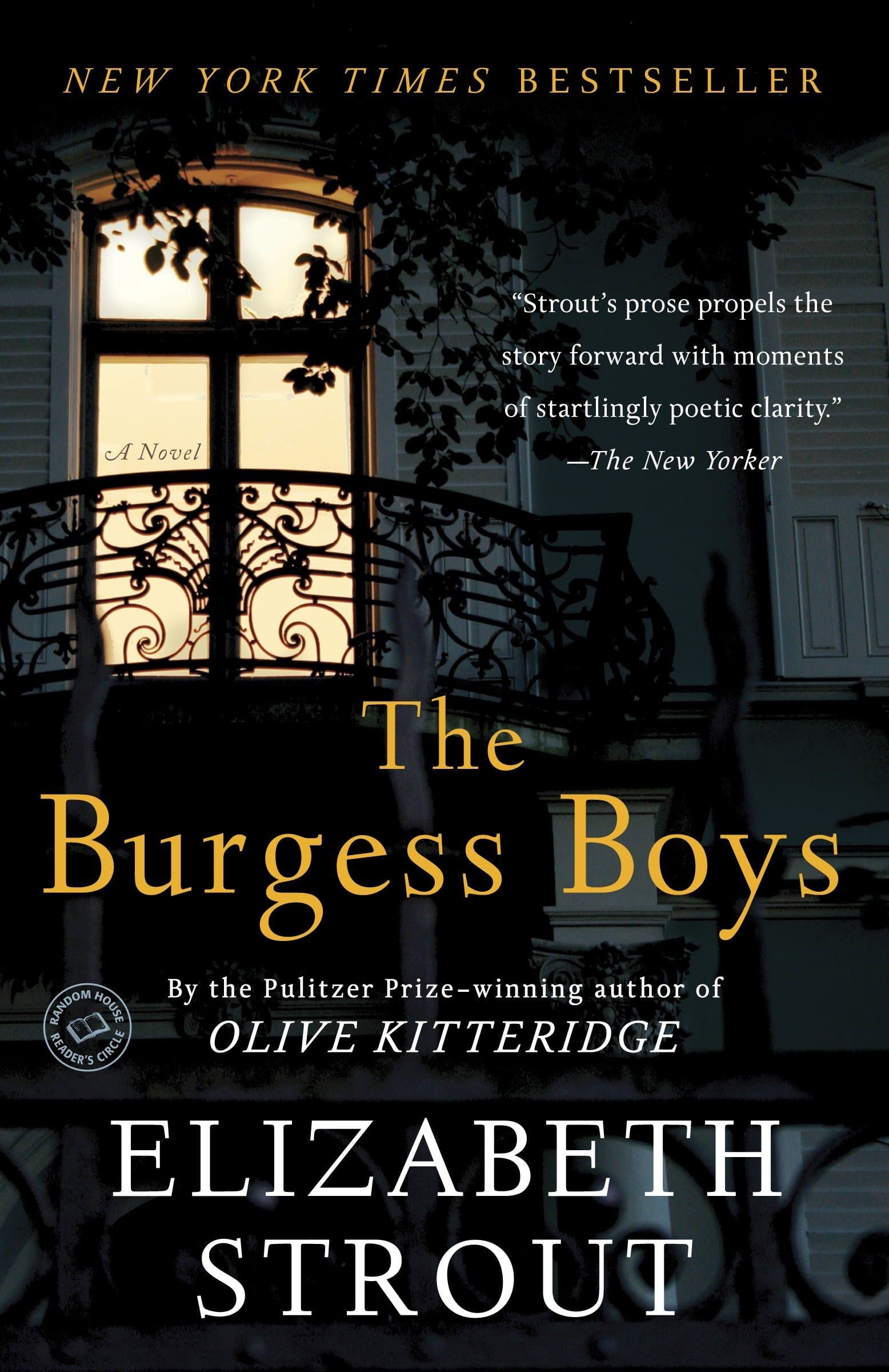 The Burgess Boys: A Novel