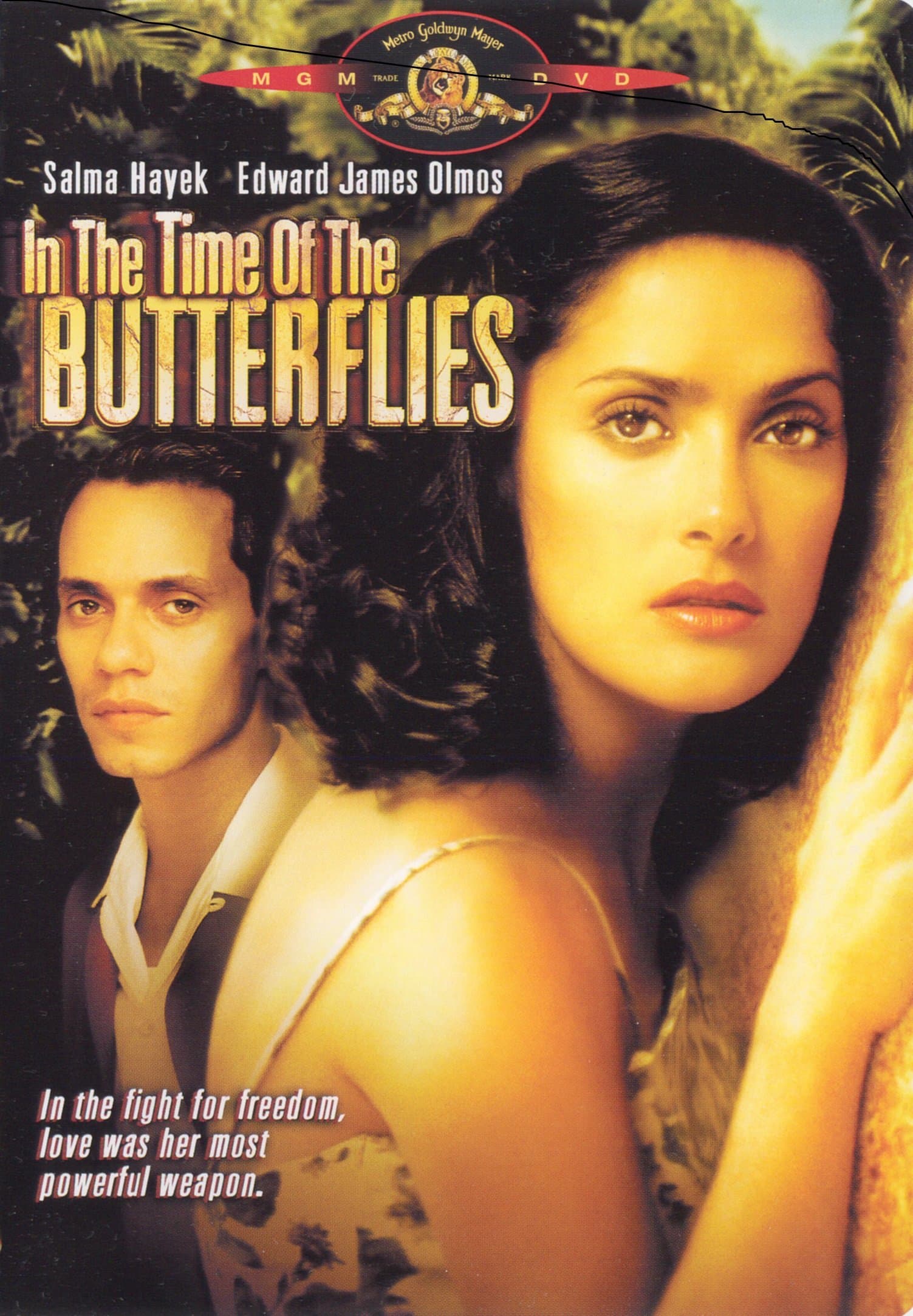 In the Time of the Butterflies [DVD]