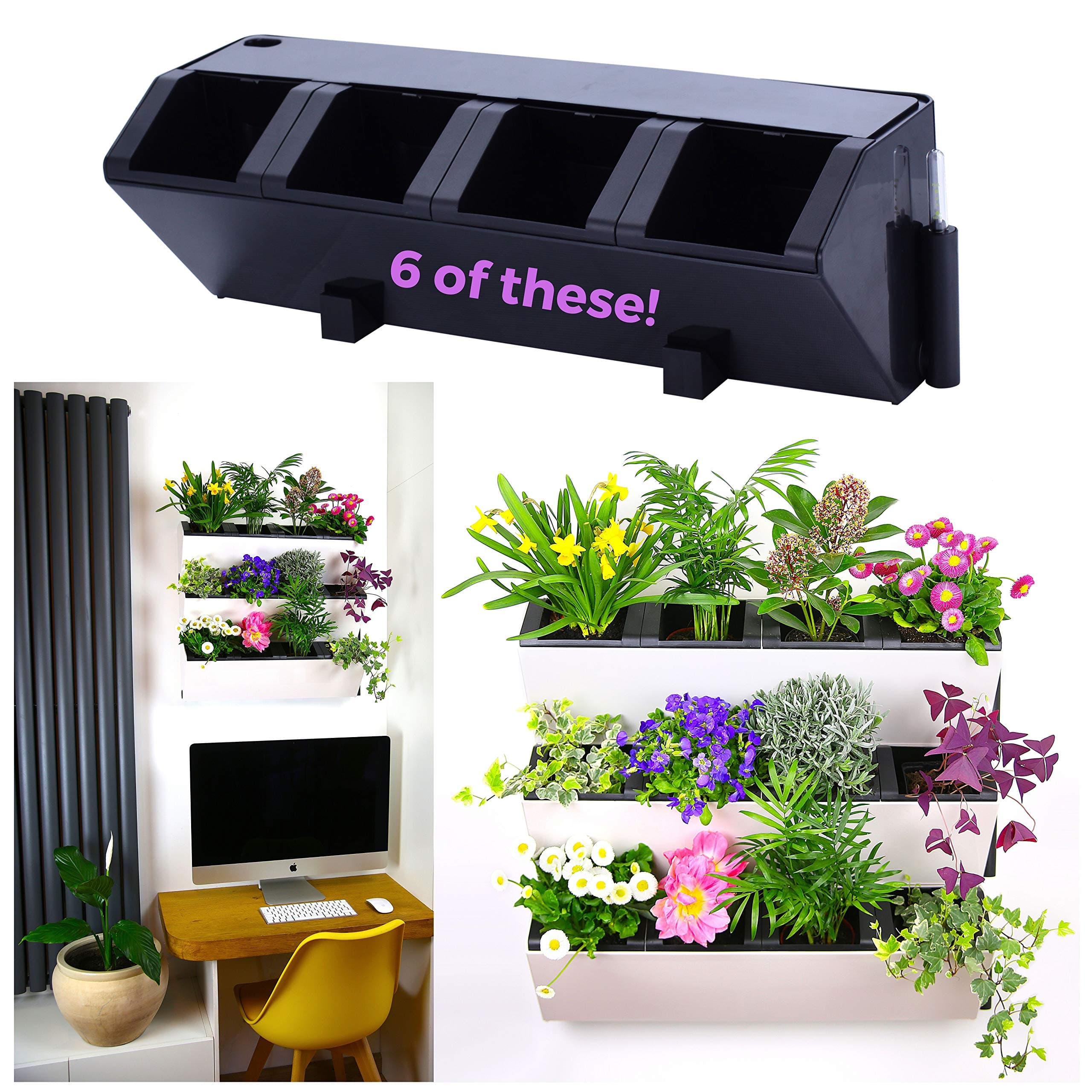 Self Watering Wall Planter by MyEasygro for Indoor and Outdoor | Mounted Hanging Vertical Urban Garden Decor | Green Wall Pots for Flowers, Plants, Herbs, Vegetables, Seeds | 22.5"x7"x7" (6, Black)