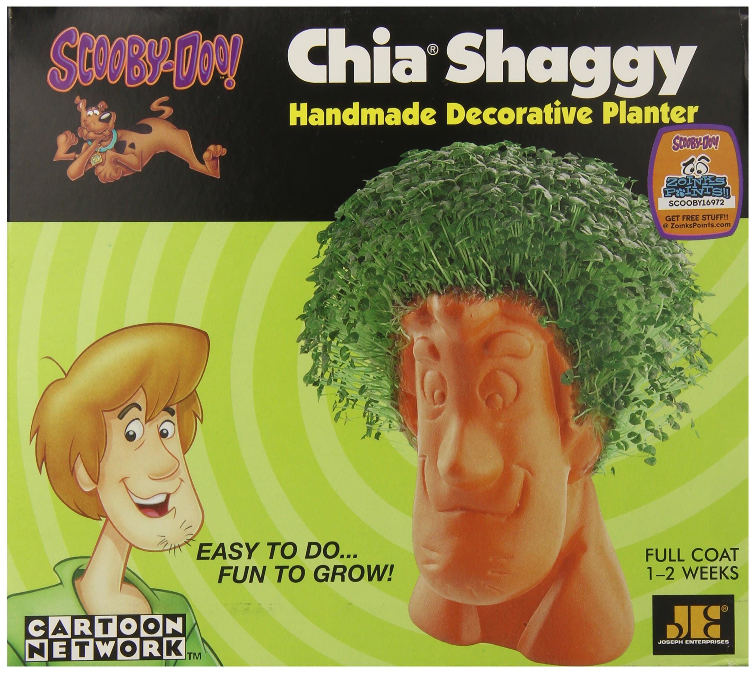 Chia Shaggy Collectable